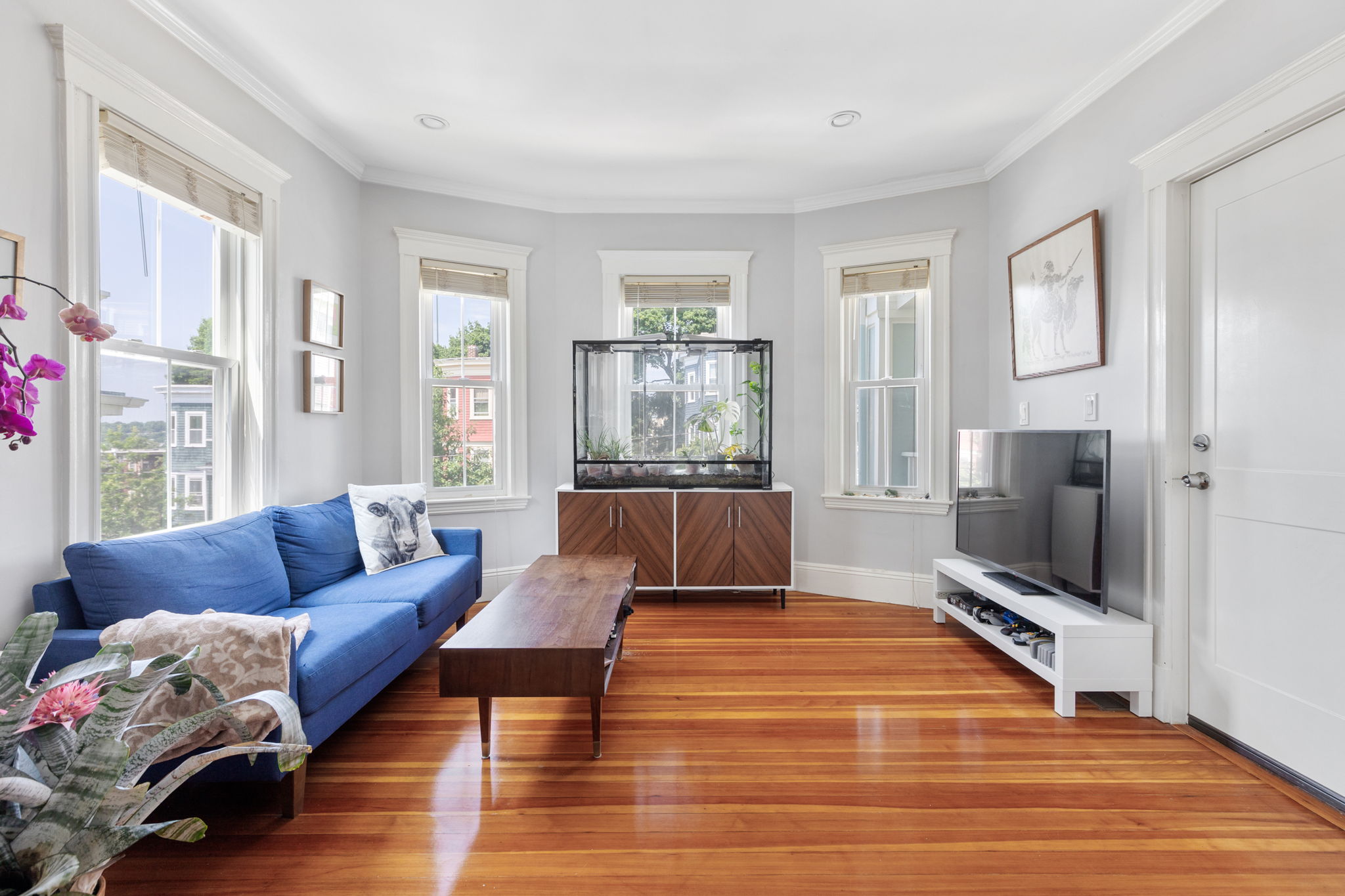 77 Montebello Rd, Jamaica Plain