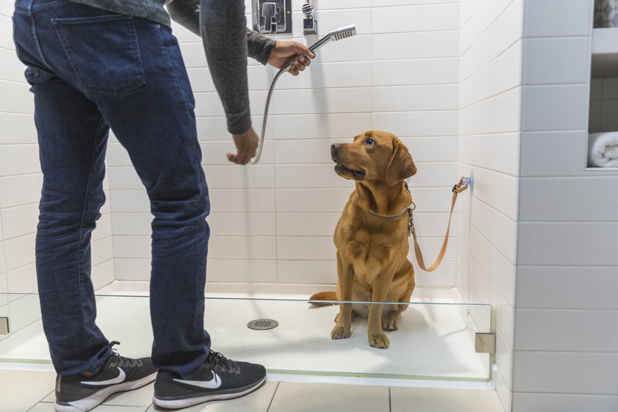 665 Washington St, Downtown