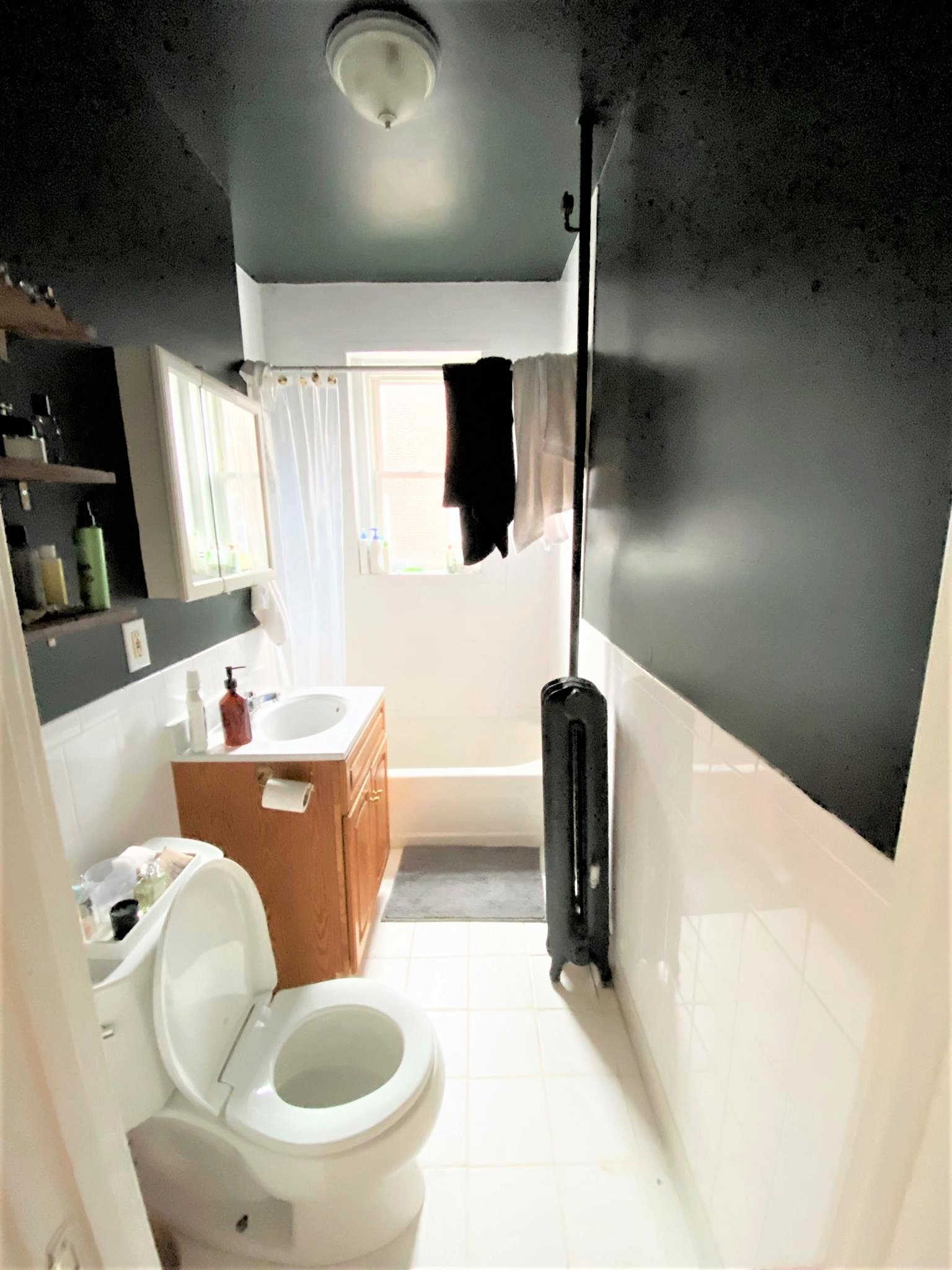 6 Agassiz St, Porter Square