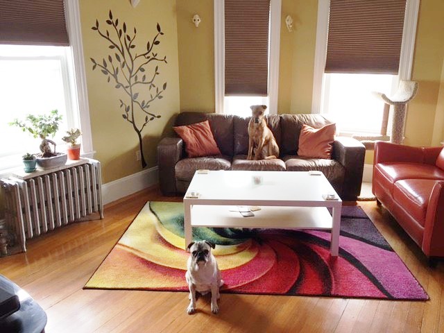 604 Main St, Medford