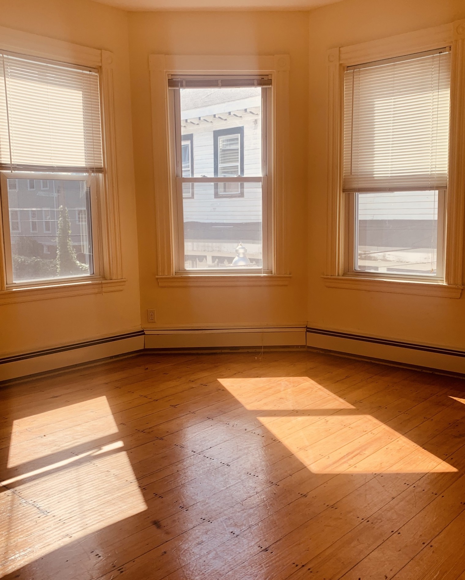 1 Folsom Ave, Mission Hill