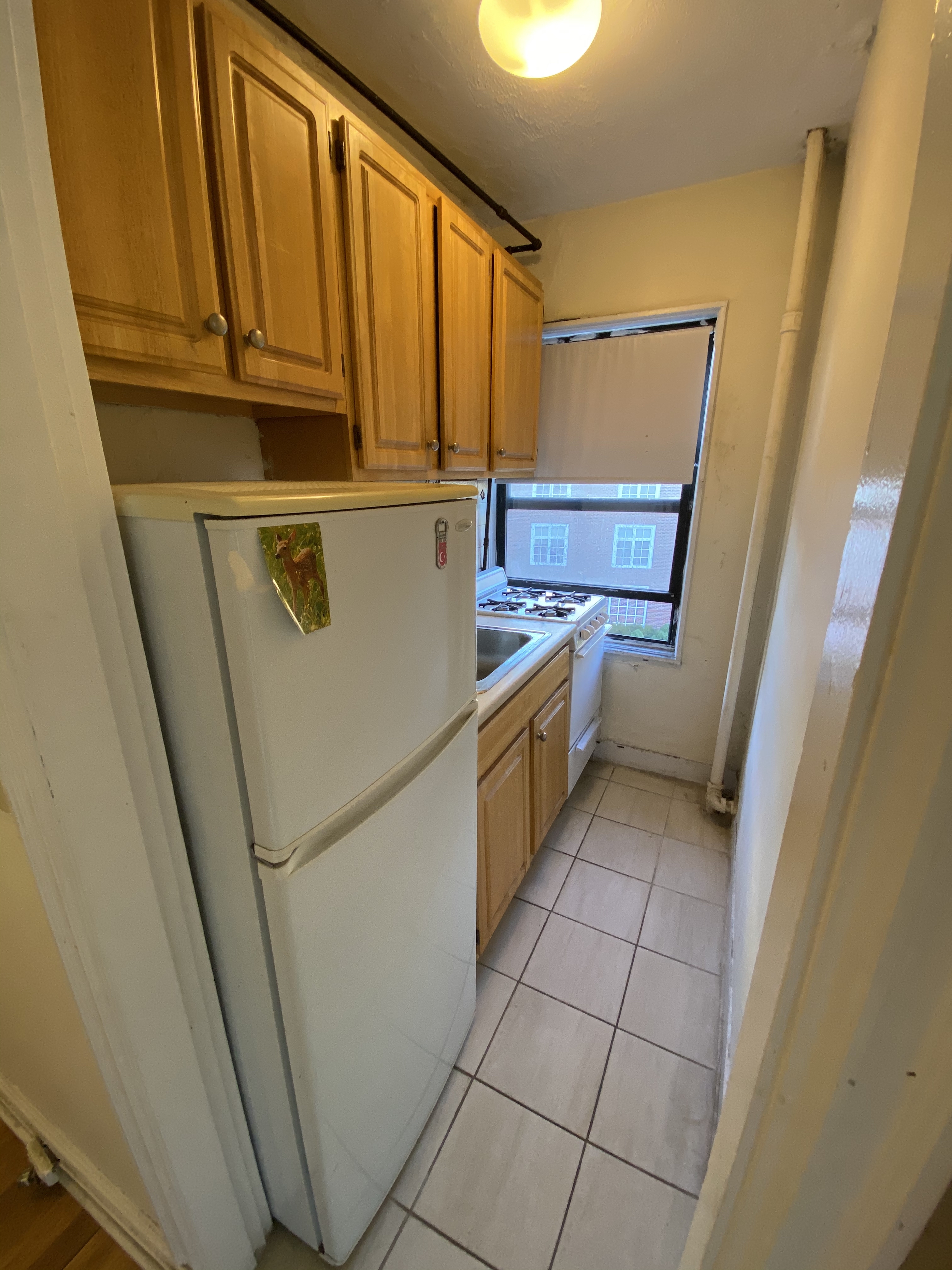 1200 Massachusetts Ave, Harvard Square