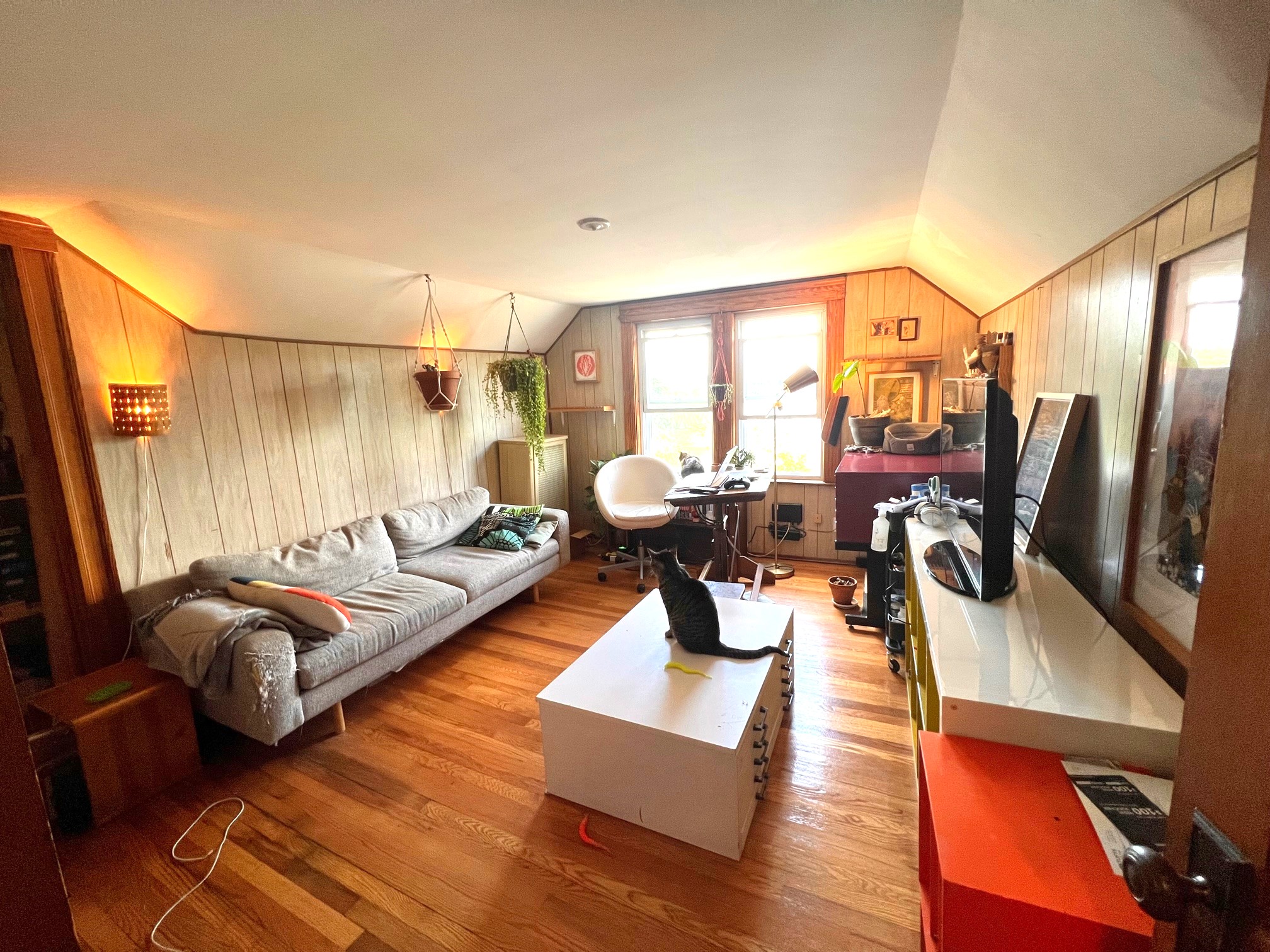 40 Alfred Rd, Arlington