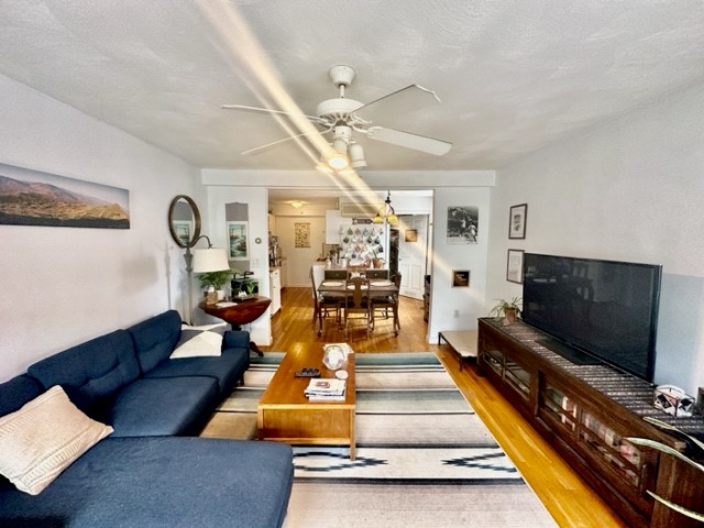 10 Harris St, North End