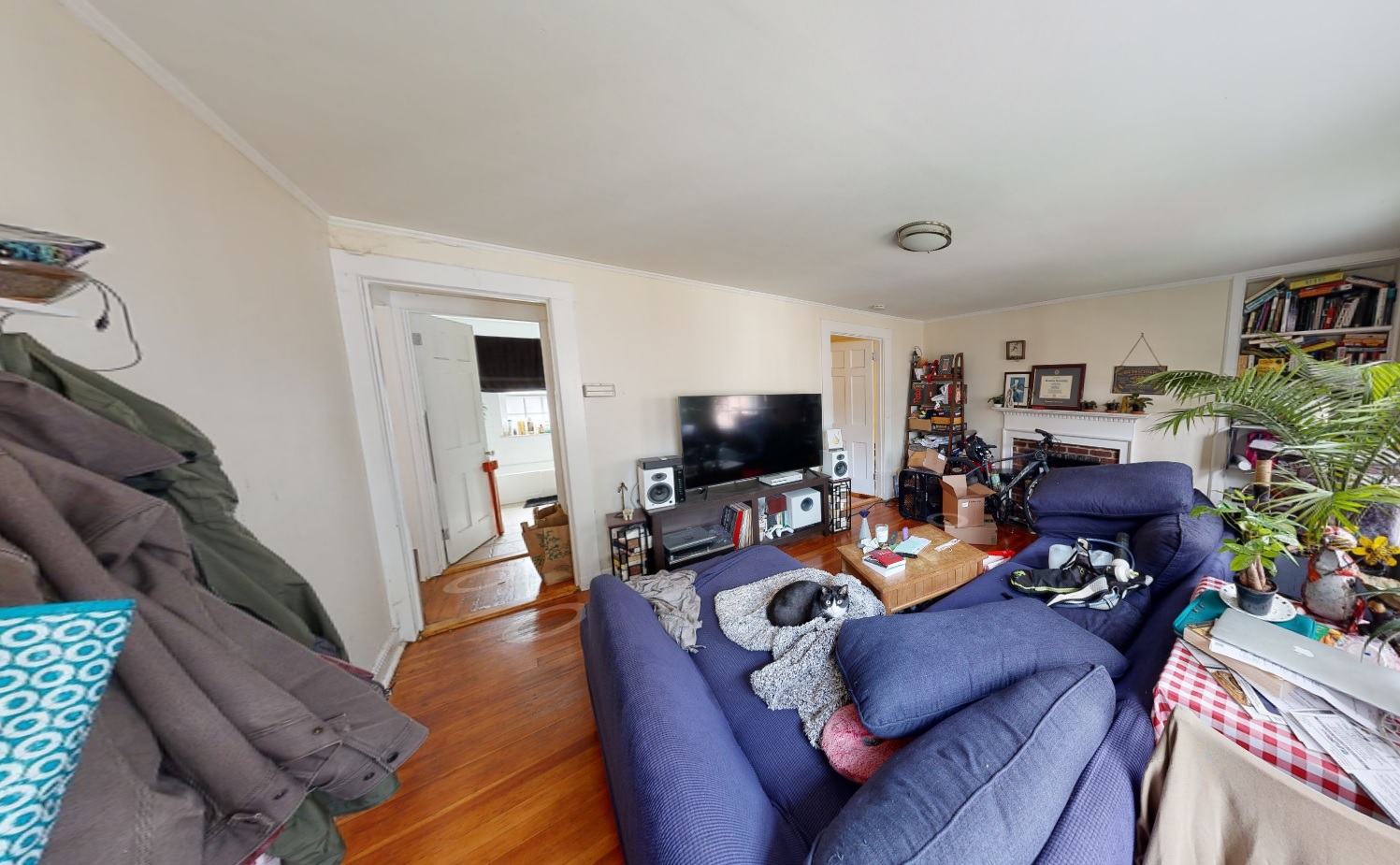 38 Gibson St, West Cambridge