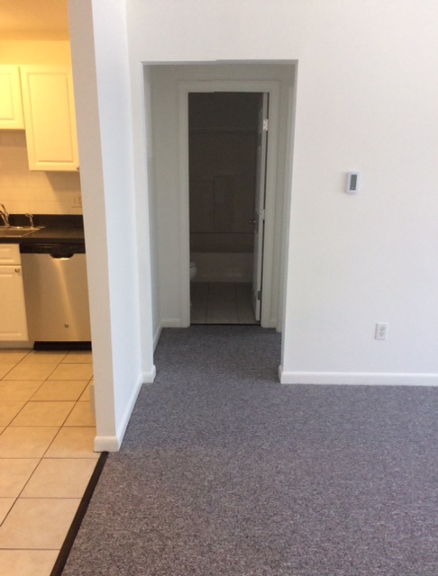 15 Argyle Ter, Dorchester