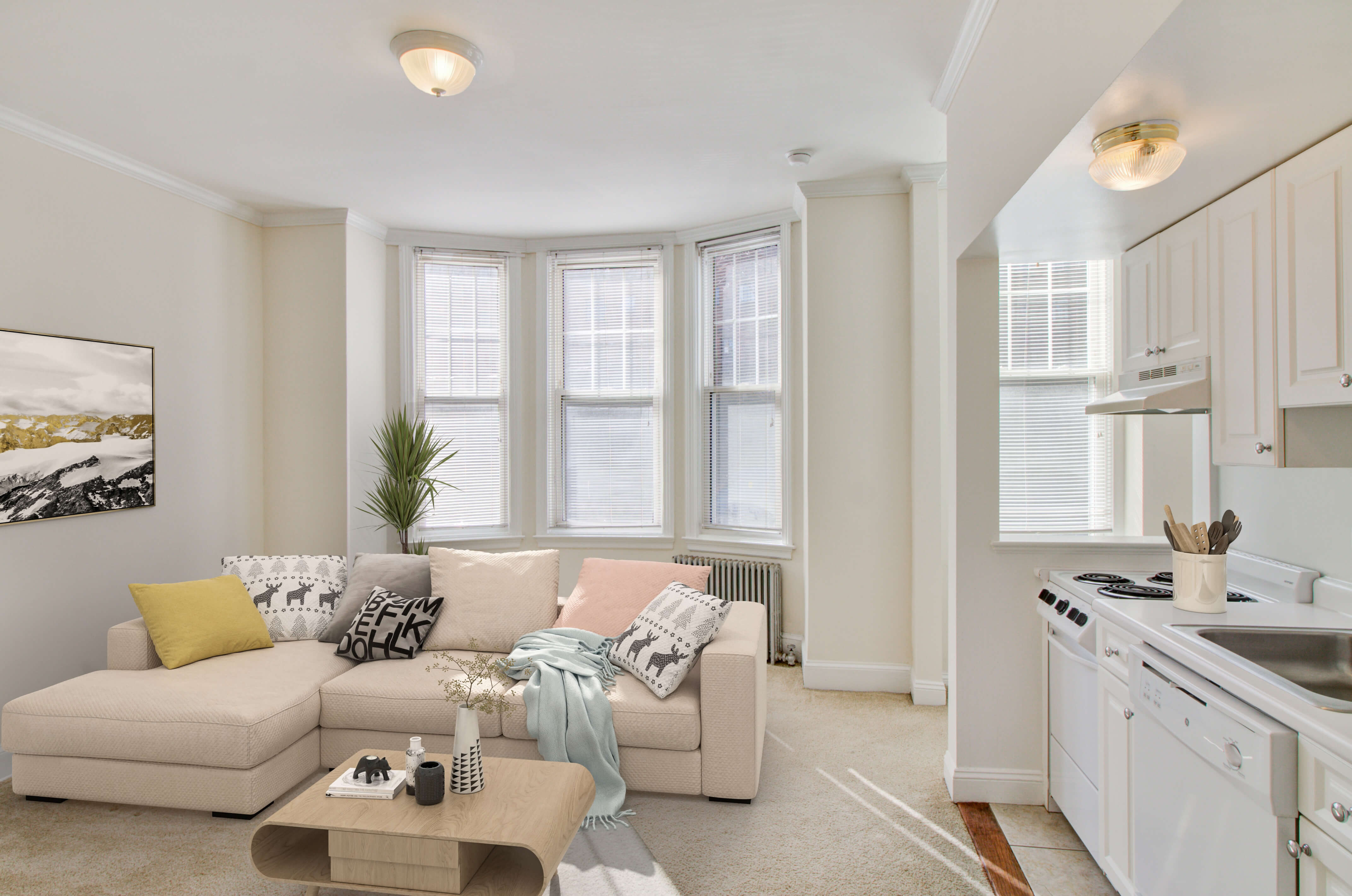 1223 Beacon St, Coolidge Corner