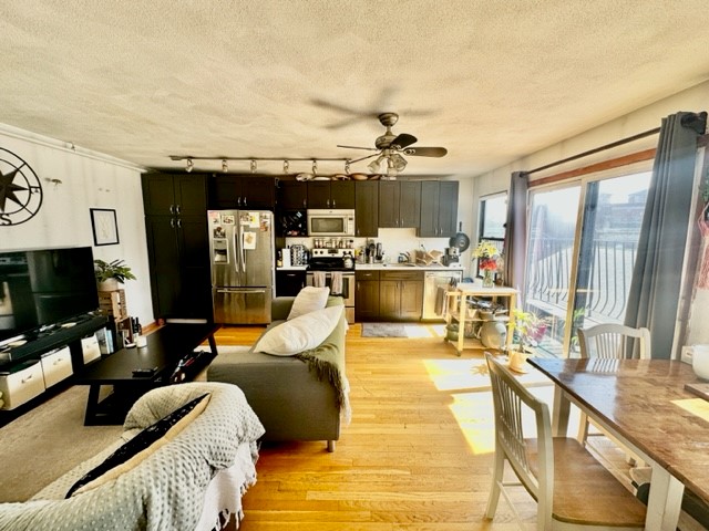 8 Harris St, North End