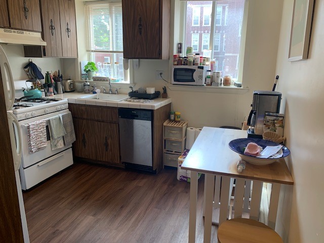 2 Michelangelo St, North End