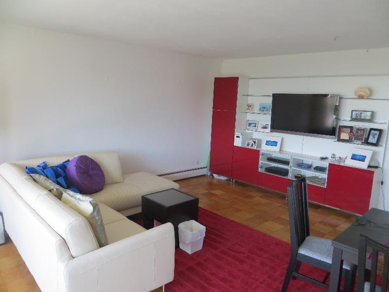 60 Babcock St, Brookline Hills