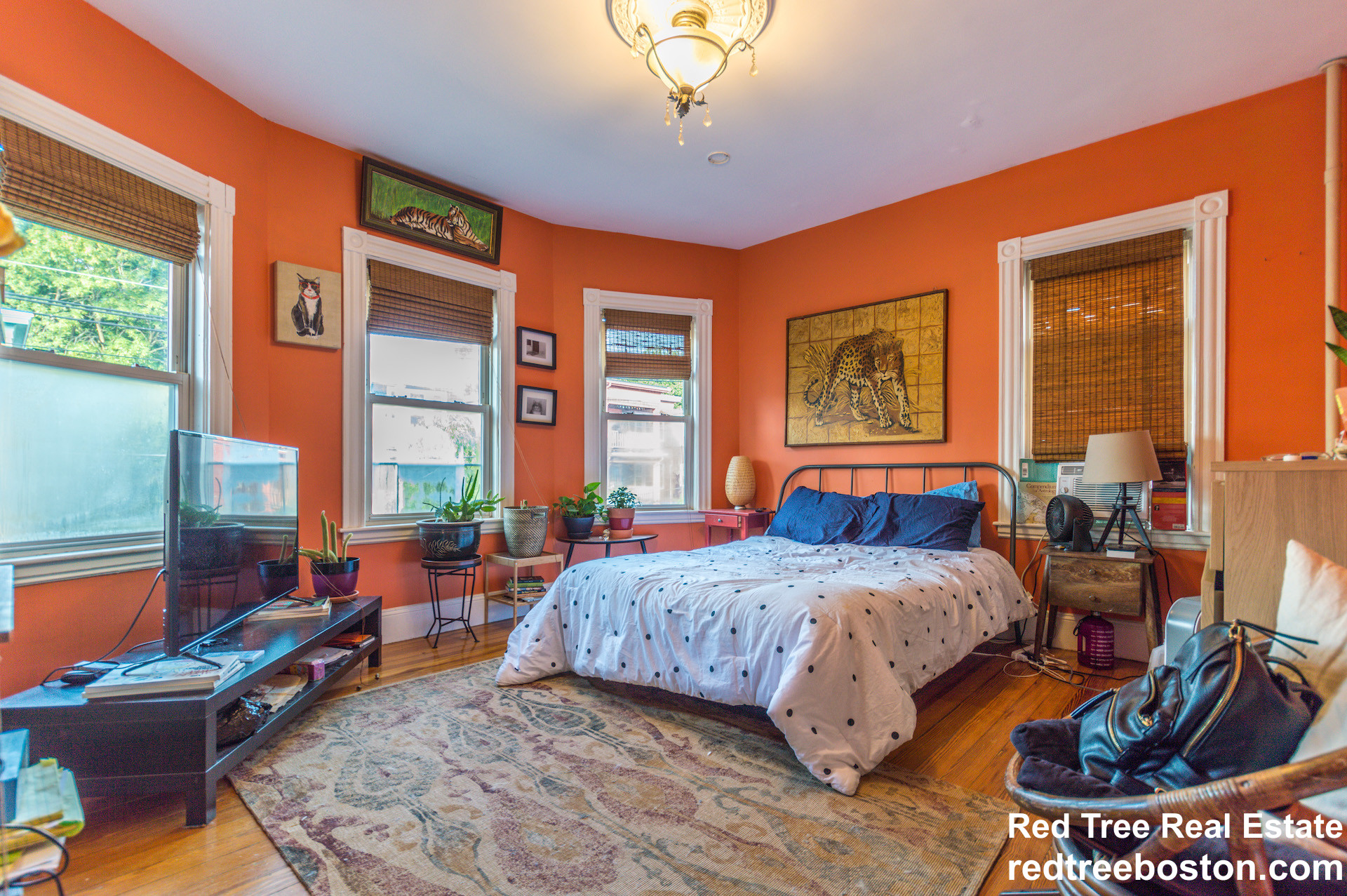 121 Williams St, Jamaica Plain