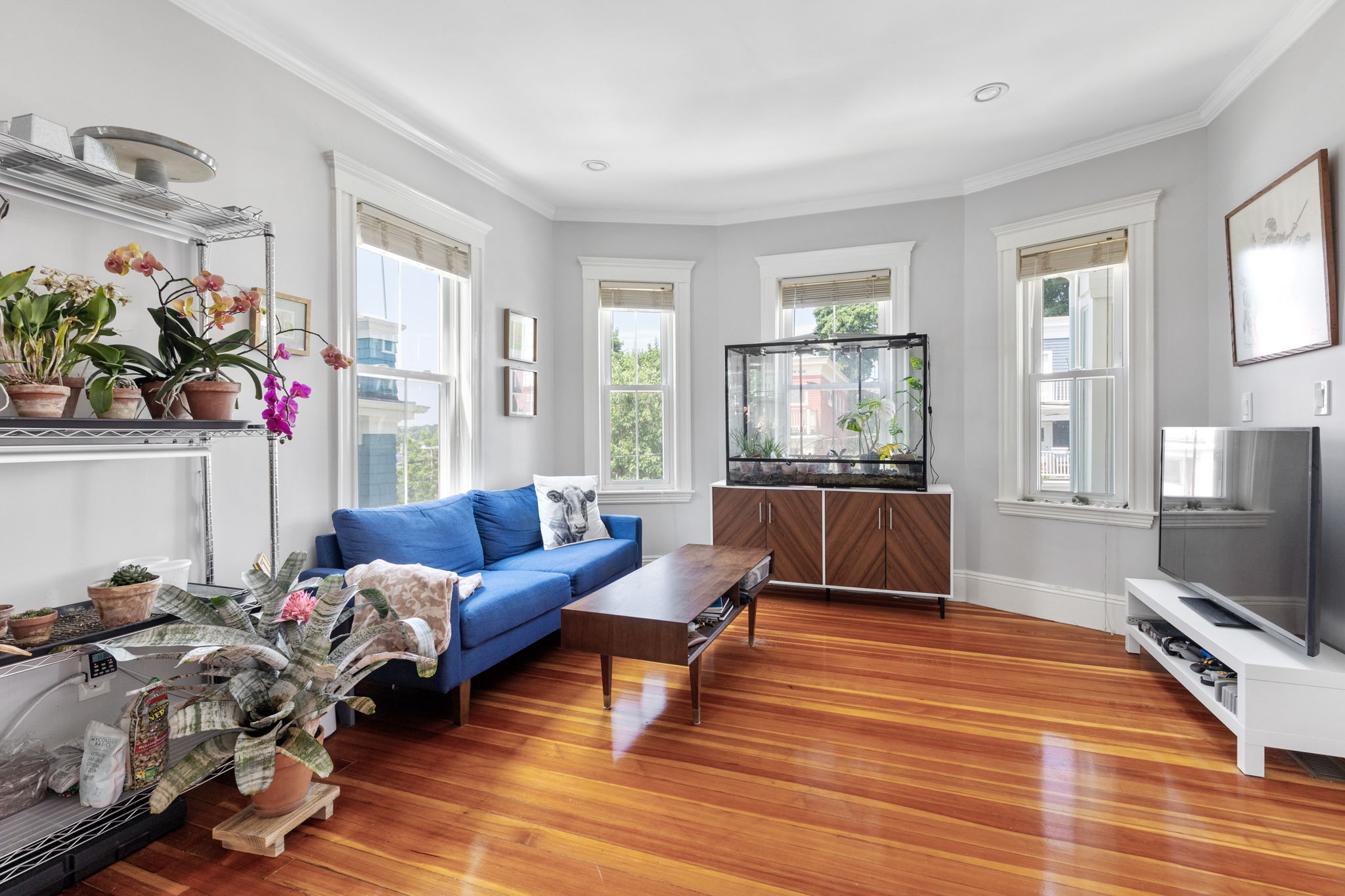 77 Montebello Rd, Jamaica Plain