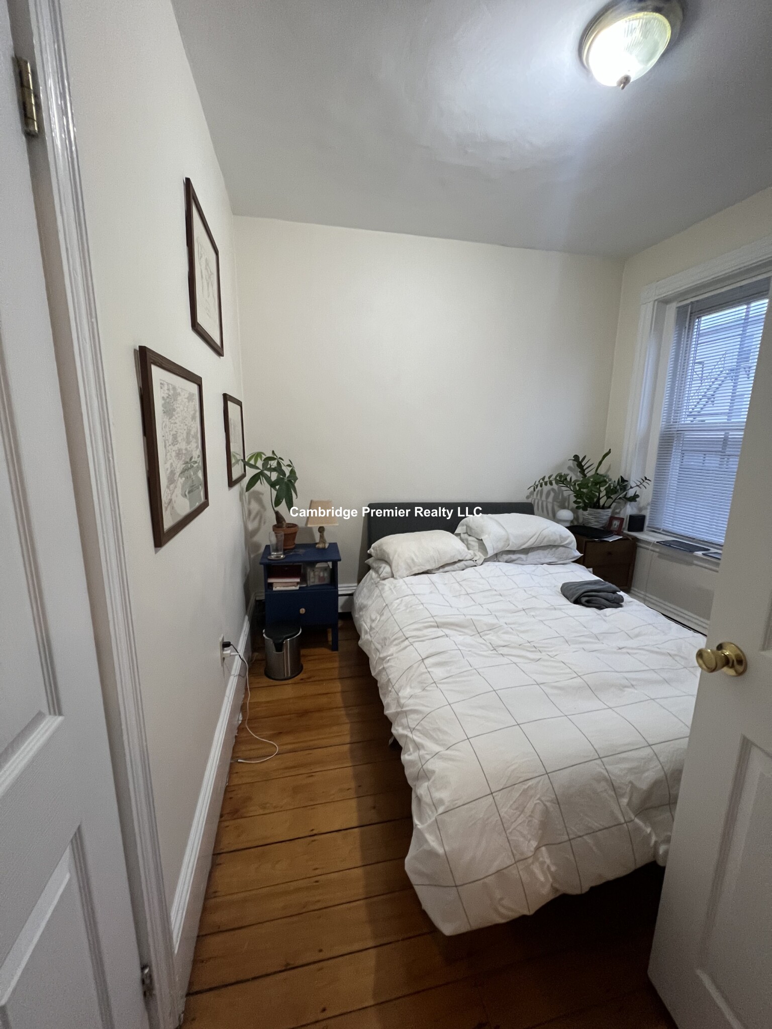 10 Winter St, East Cambridge