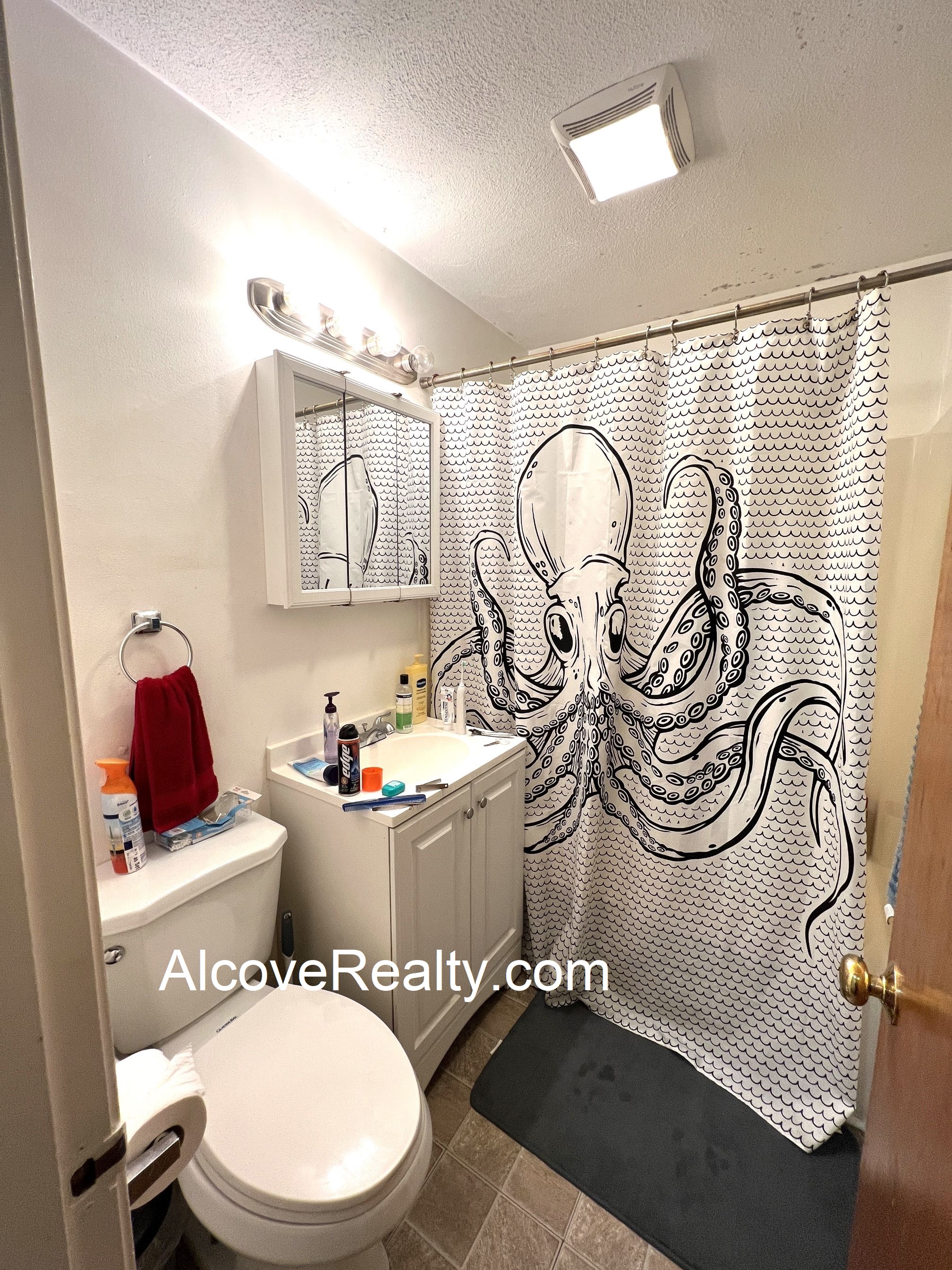 217 Holland St, Davis Square