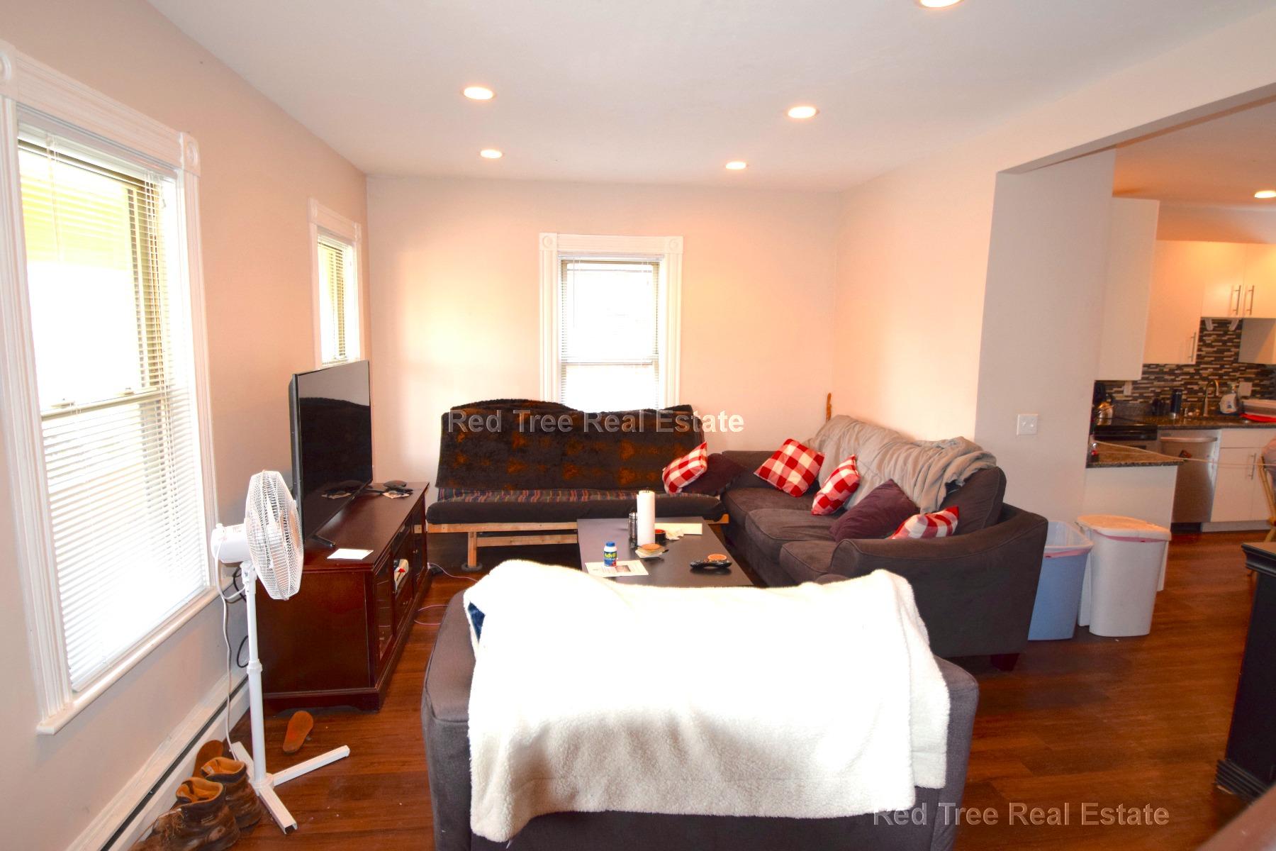 17 Mackin St, Brighton