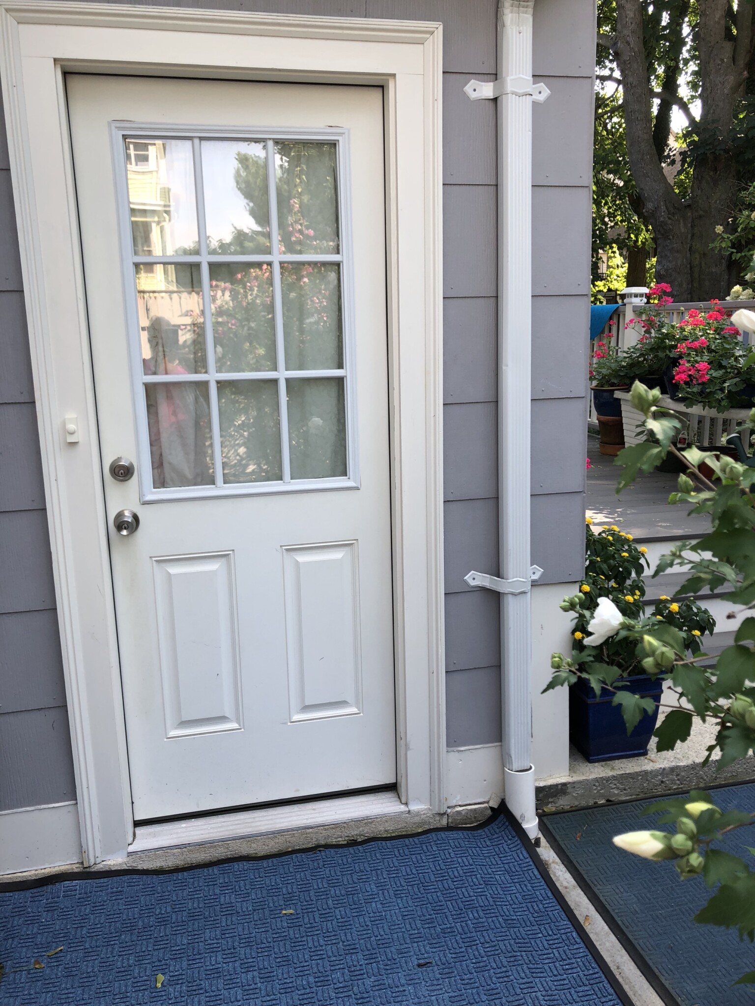 56 Hobson St, Brighton