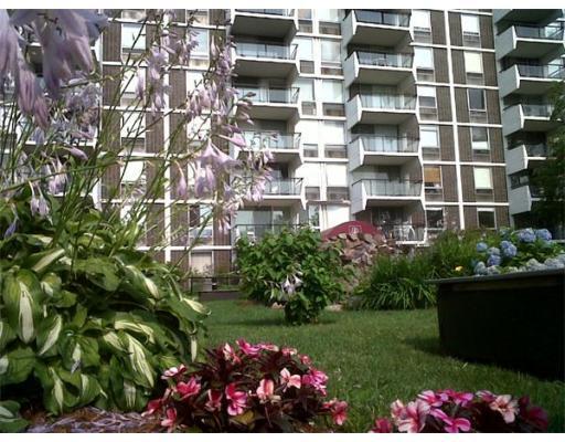 60 Babcock St, Brookline Hills