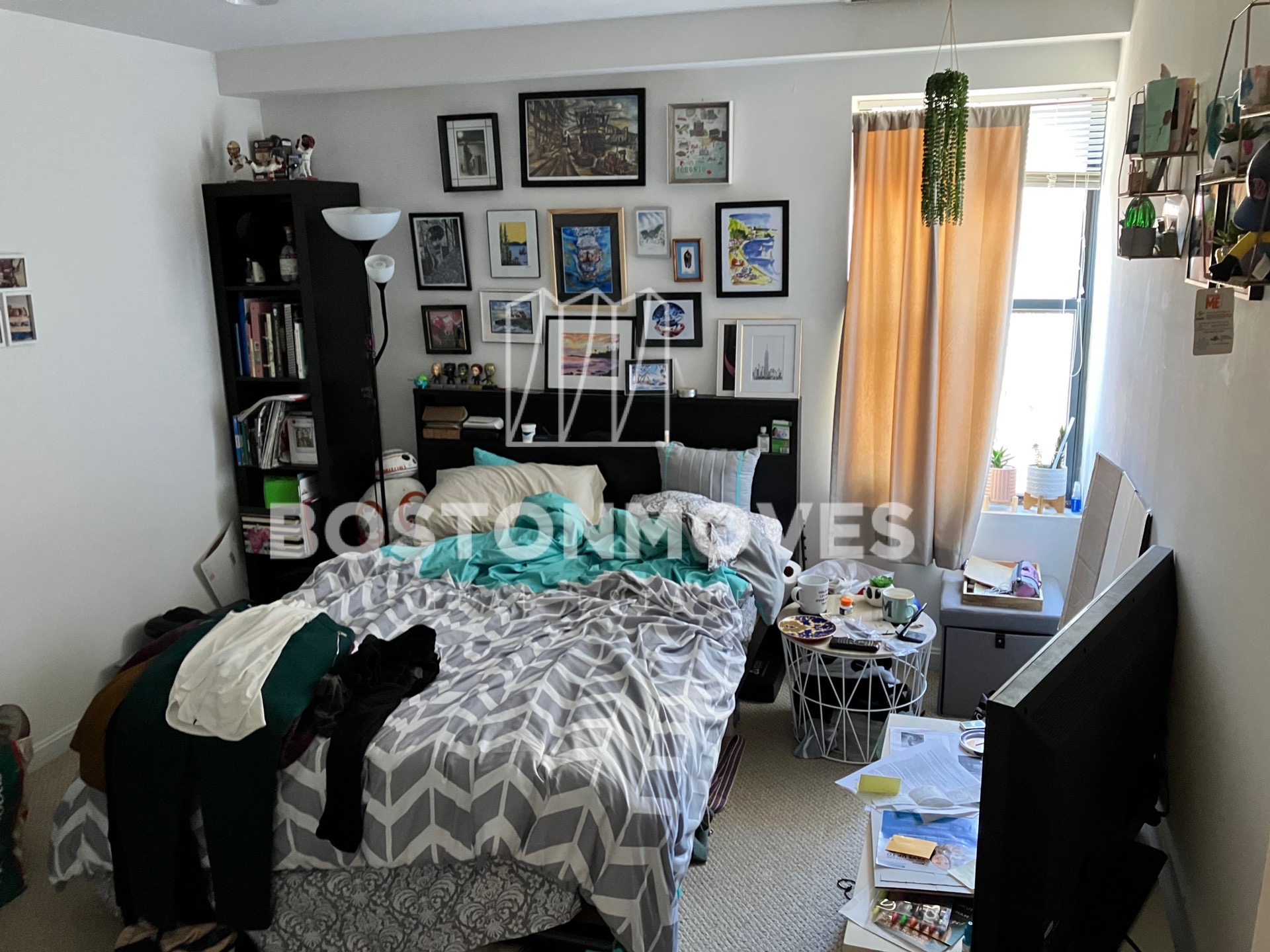 100 Jersey St, Fenway