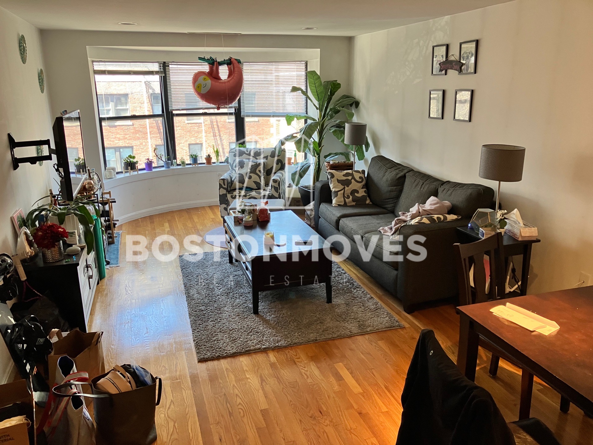 100 Jersey St, Fenway