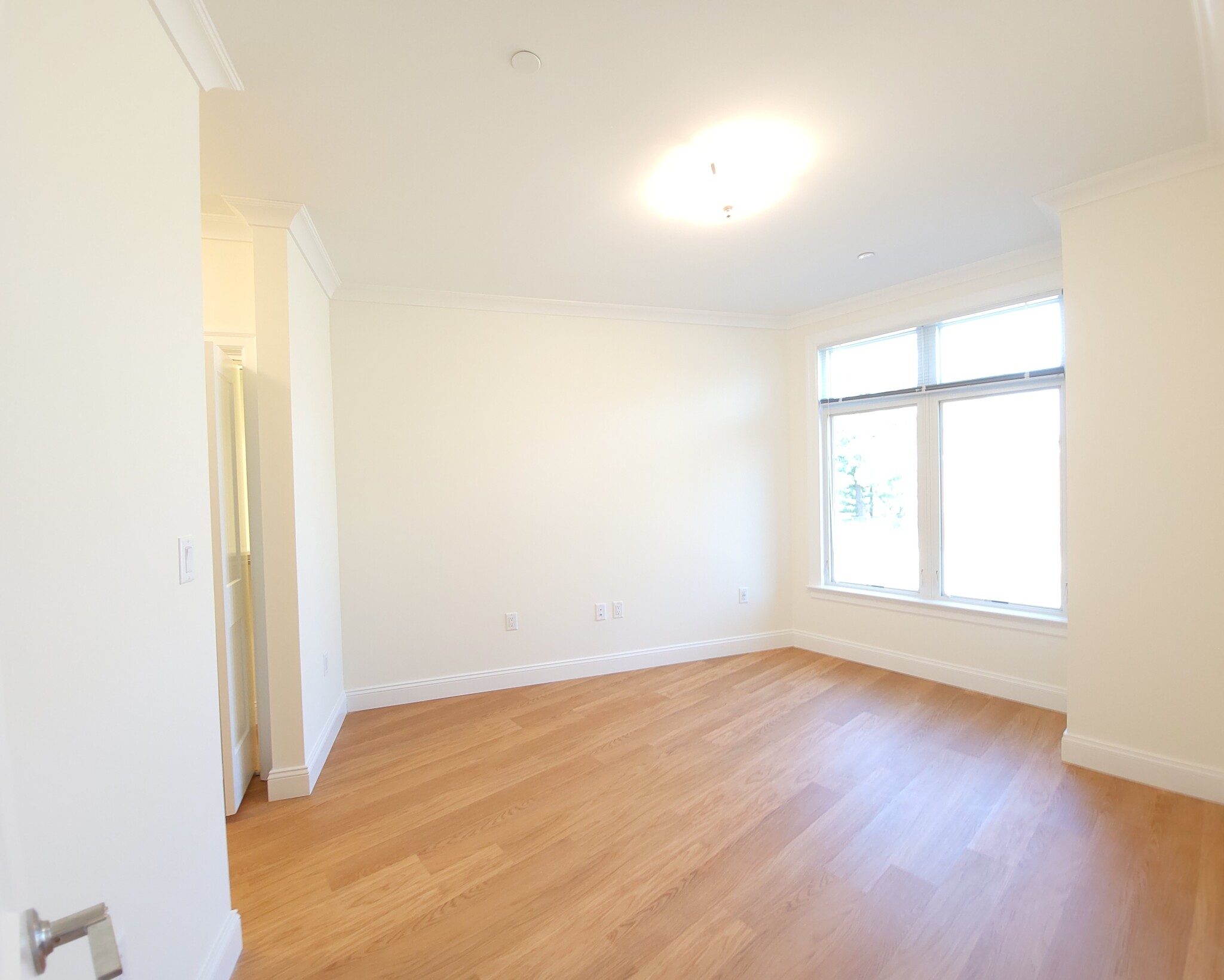 101 Asheville Rd, Chestnut Hill