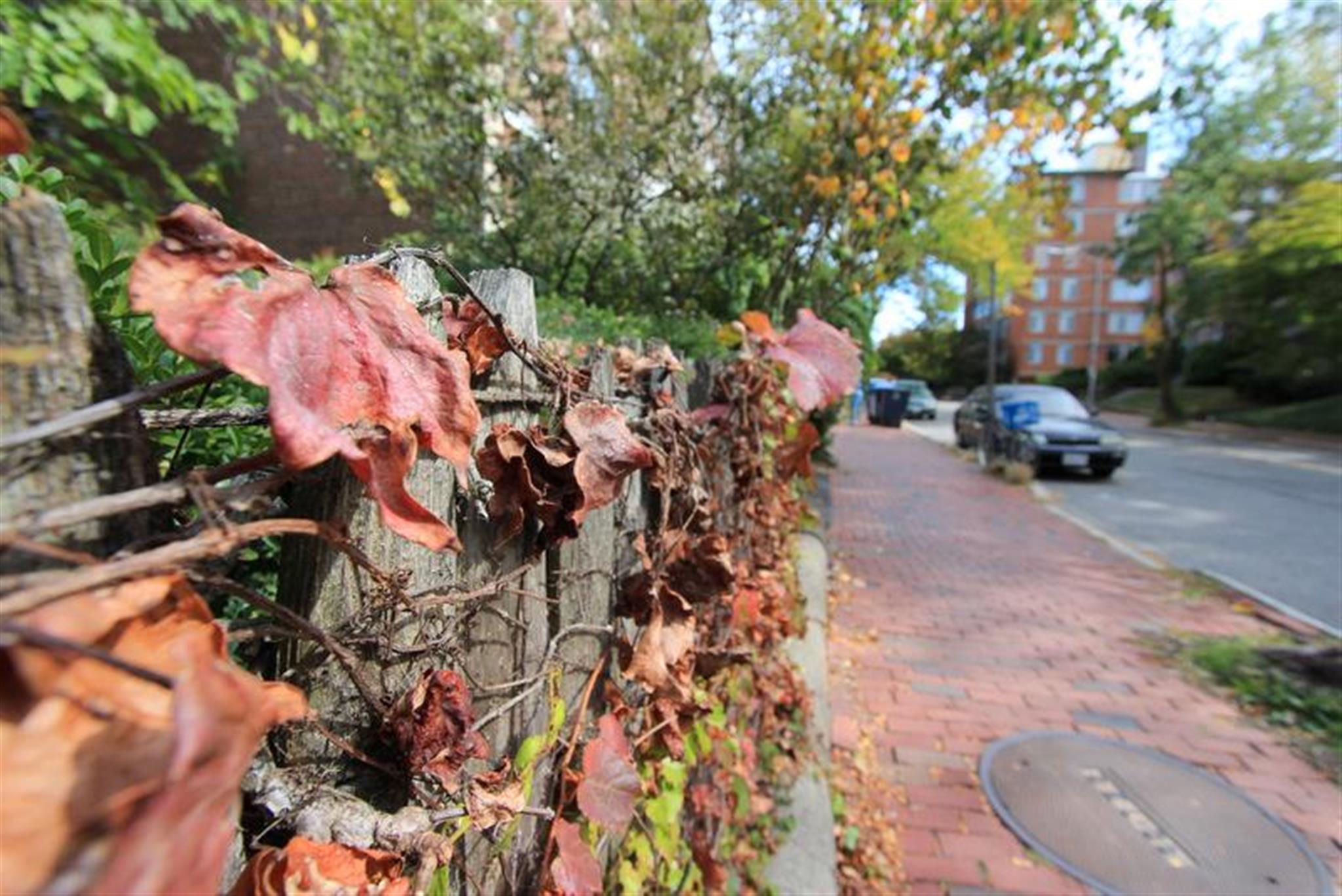 335 Harvard St, Harvard Square