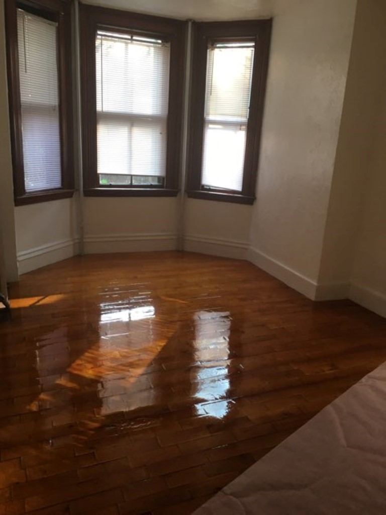 4 Adella Pl, Brighton