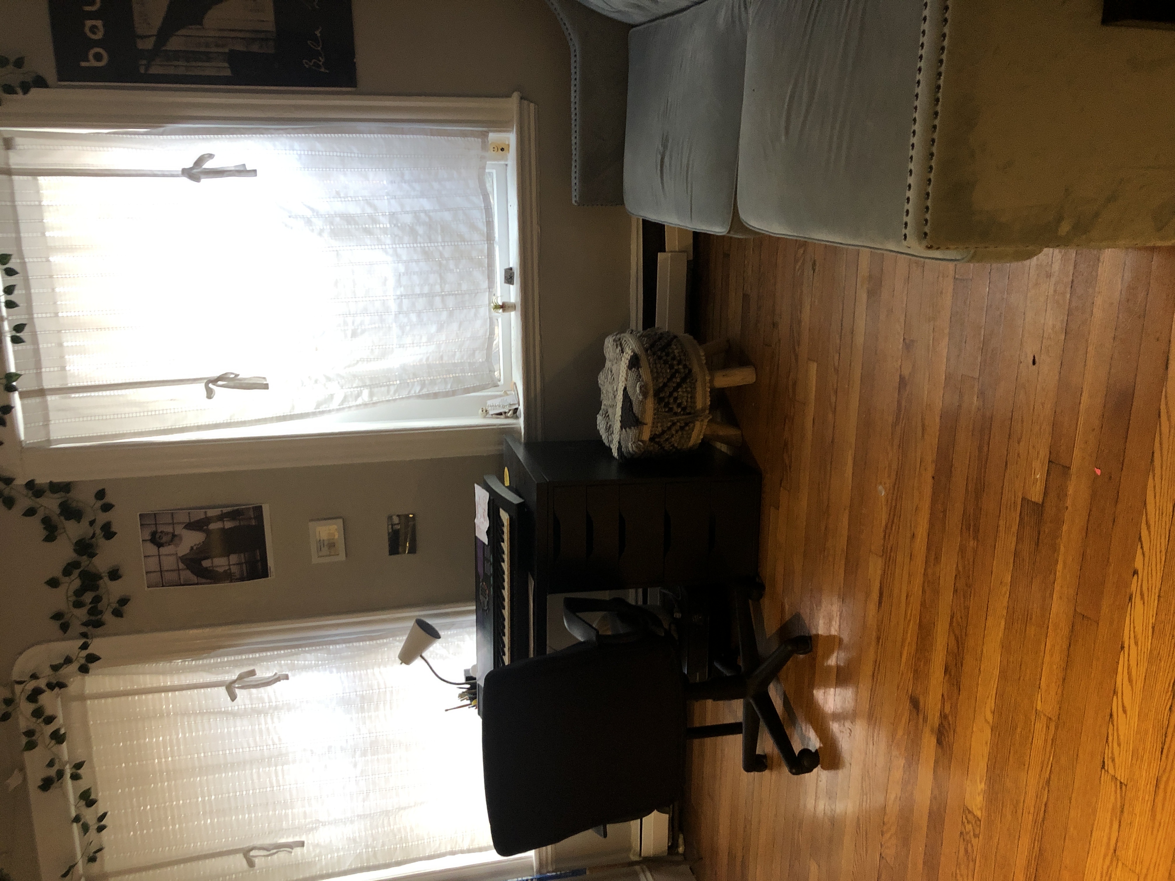 41 Anderson St, Beacon Hill