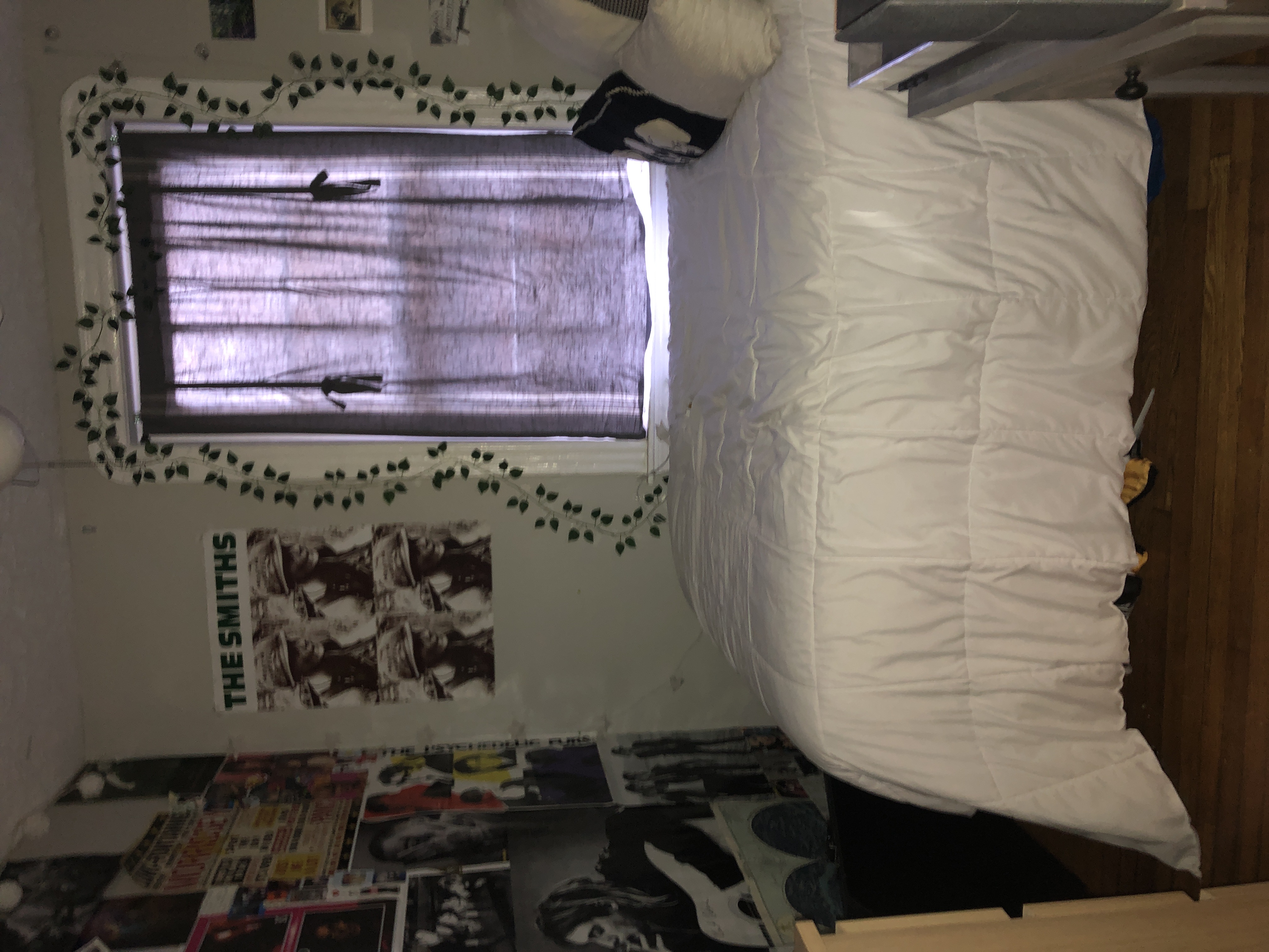 41 Anderson St, Beacon Hill