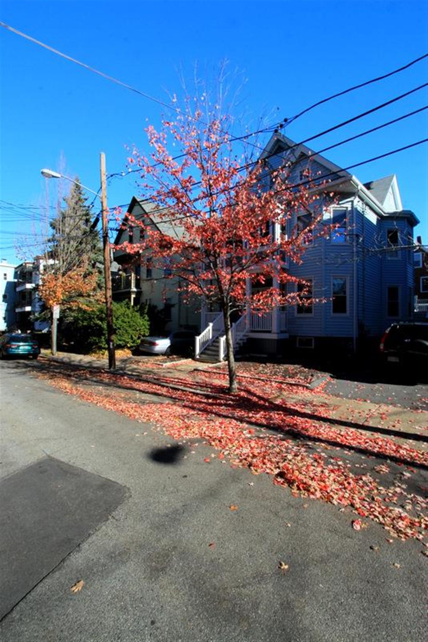 15 Lesley, Davis Square