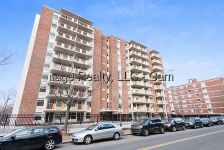 295 Harvard Lee St, Central Square