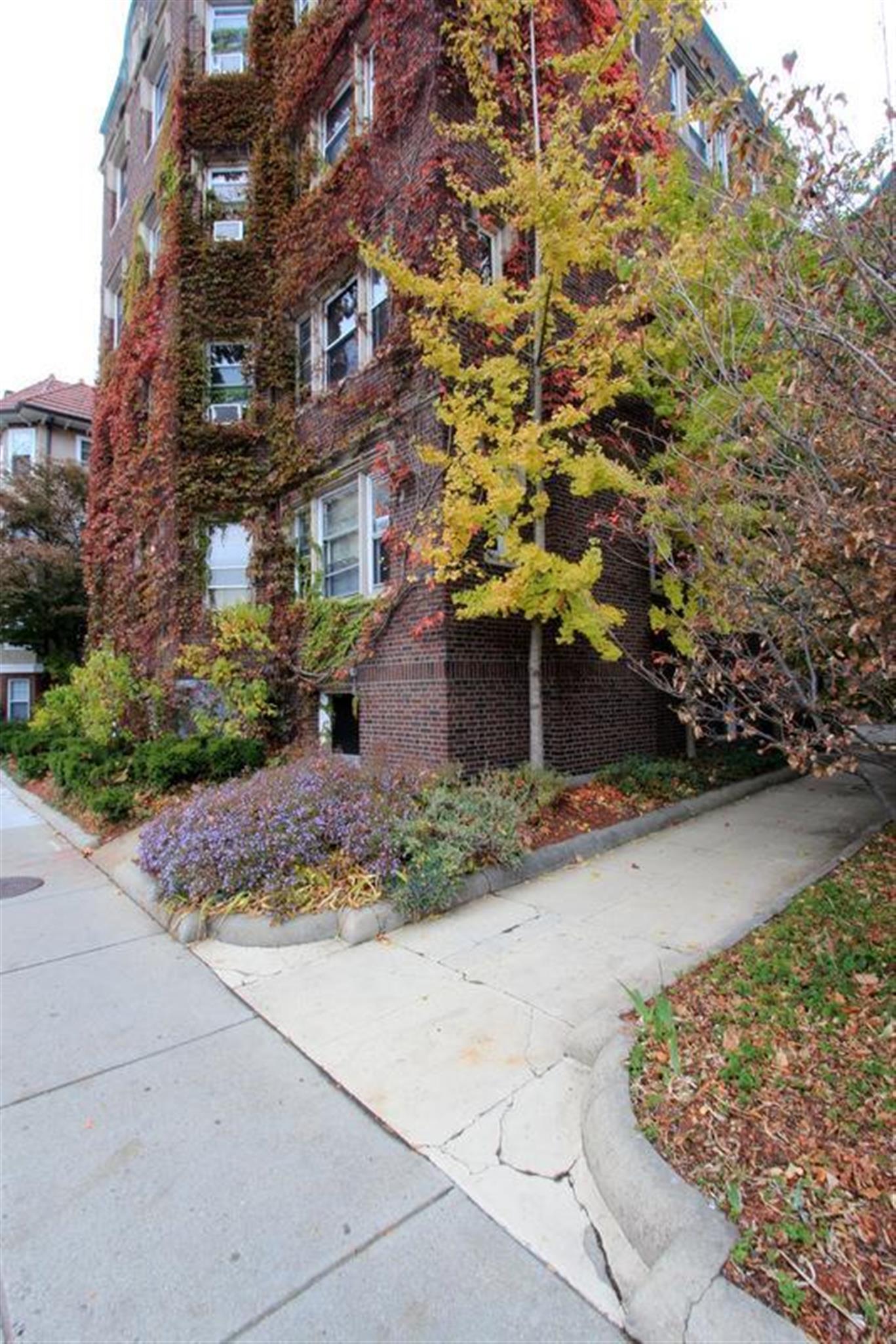 5 Linnaean St, Porter Square