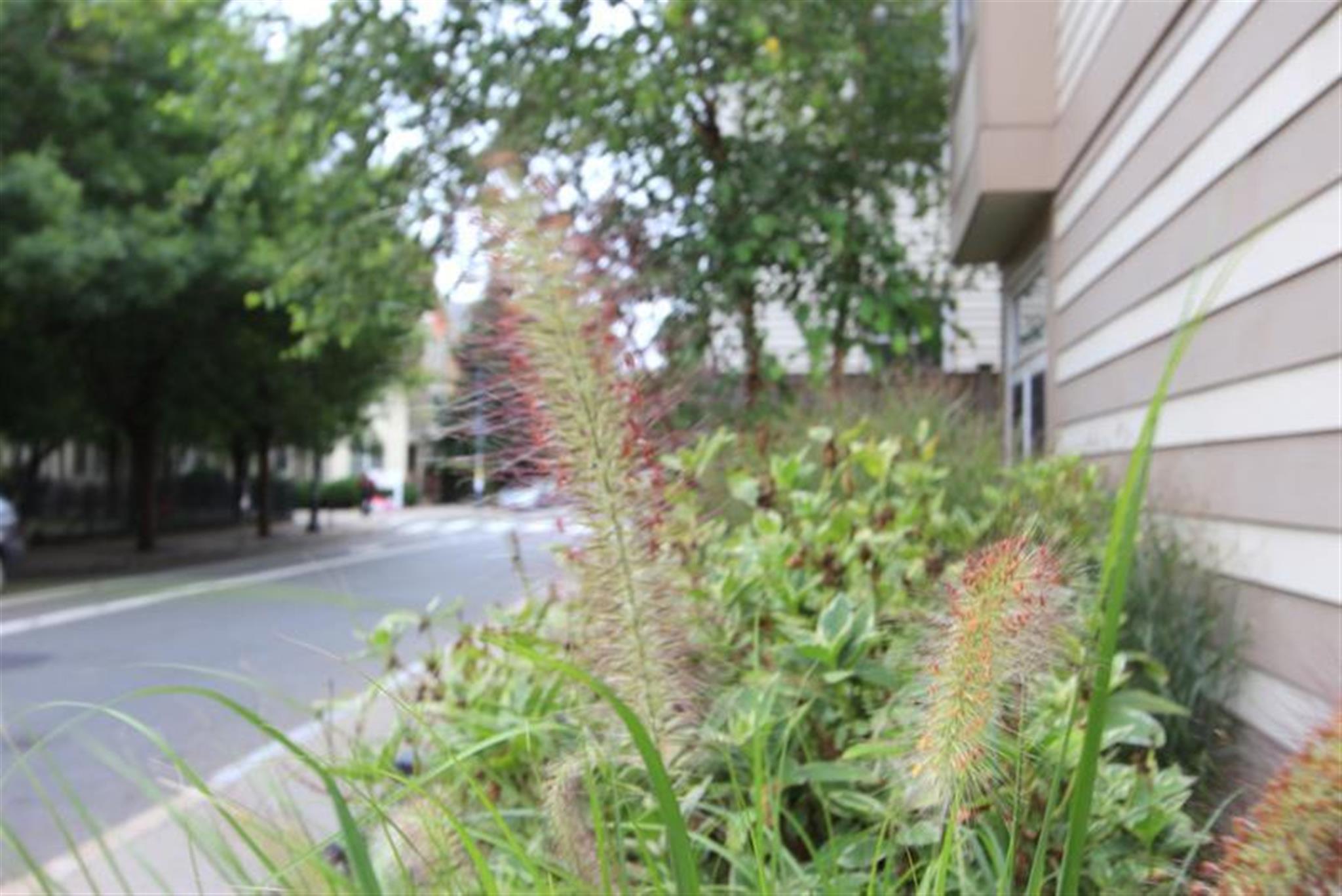 21 Brookline St, Central Square