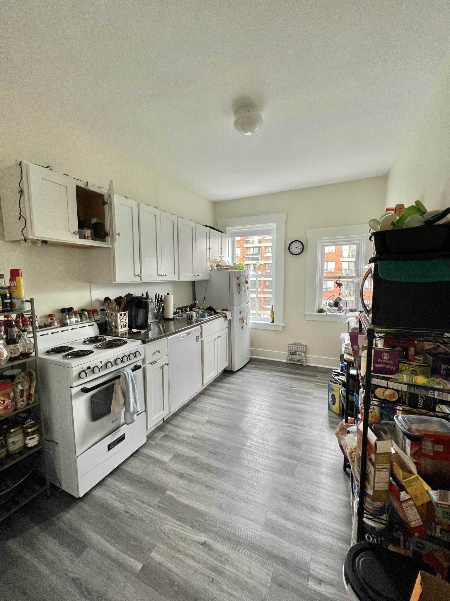 11 Mount Hood Rd, Brighton