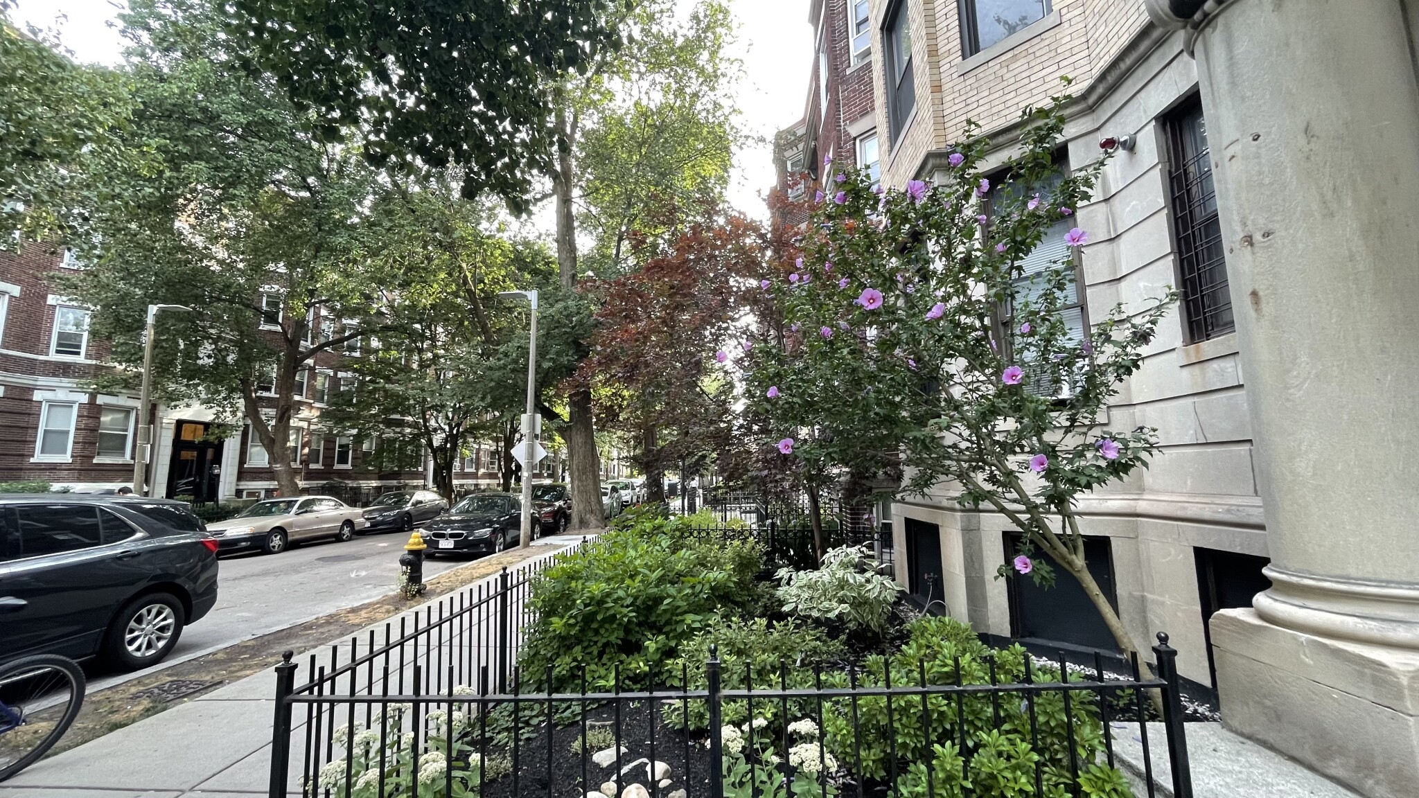 11 Queensberry St, Fenway