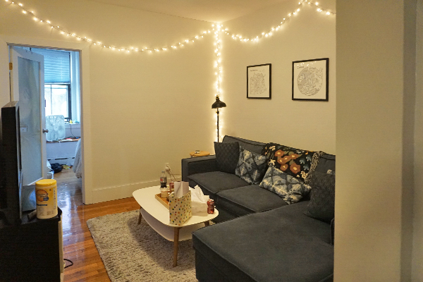 110 Willow St, Wellington-Harrington