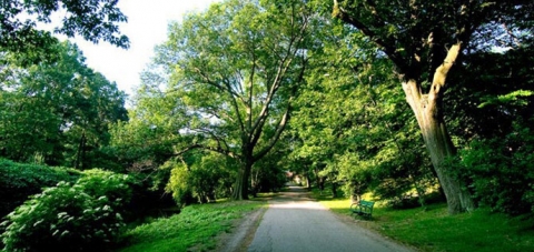 7 Perry St, Brookline Village