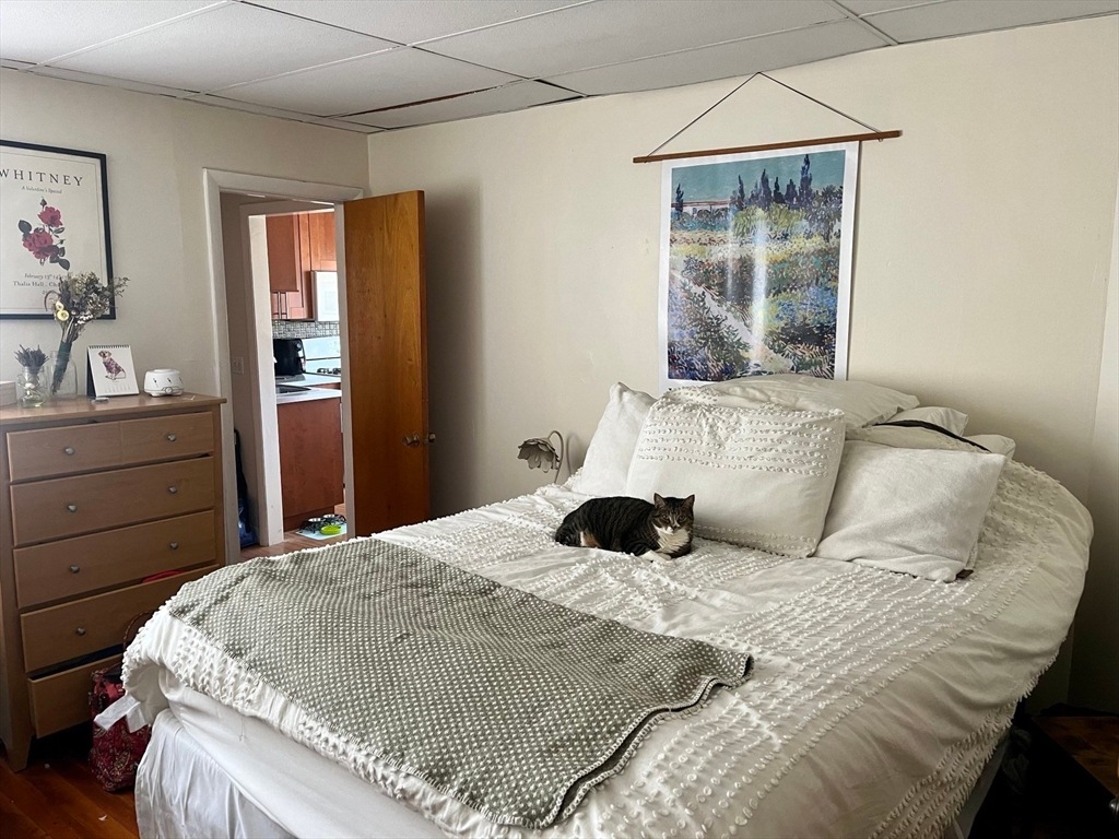 112 Thurston St, Winter Hill