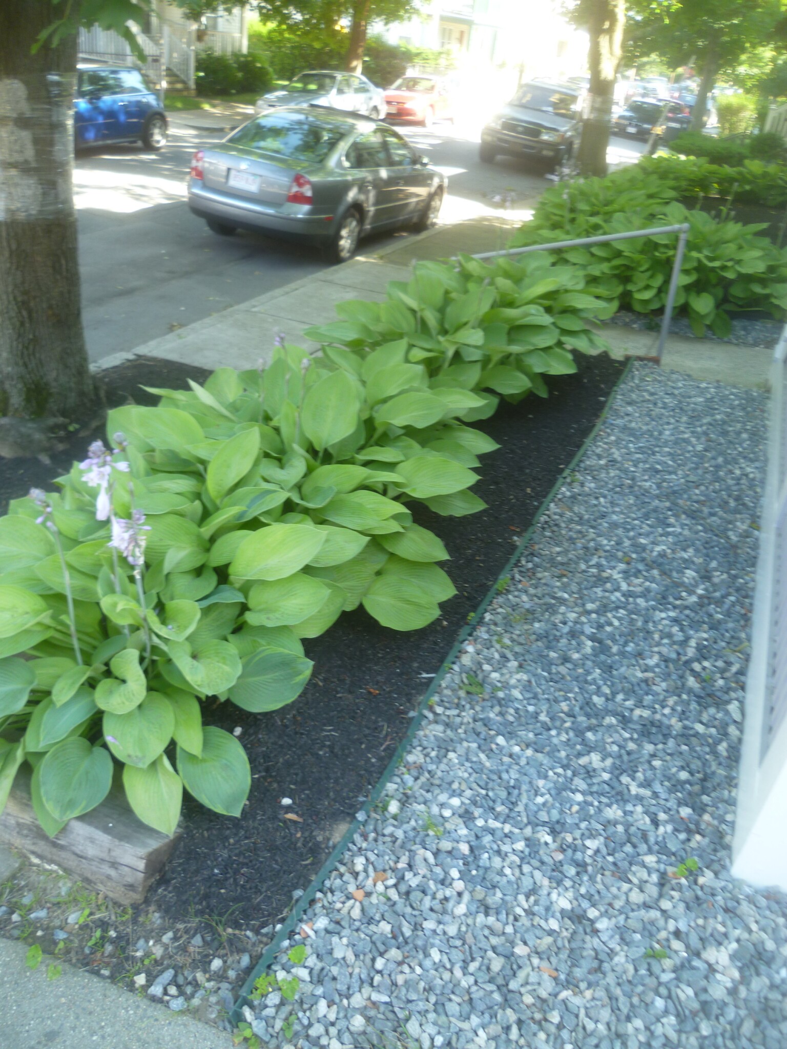 56 Hobson St, Brighton