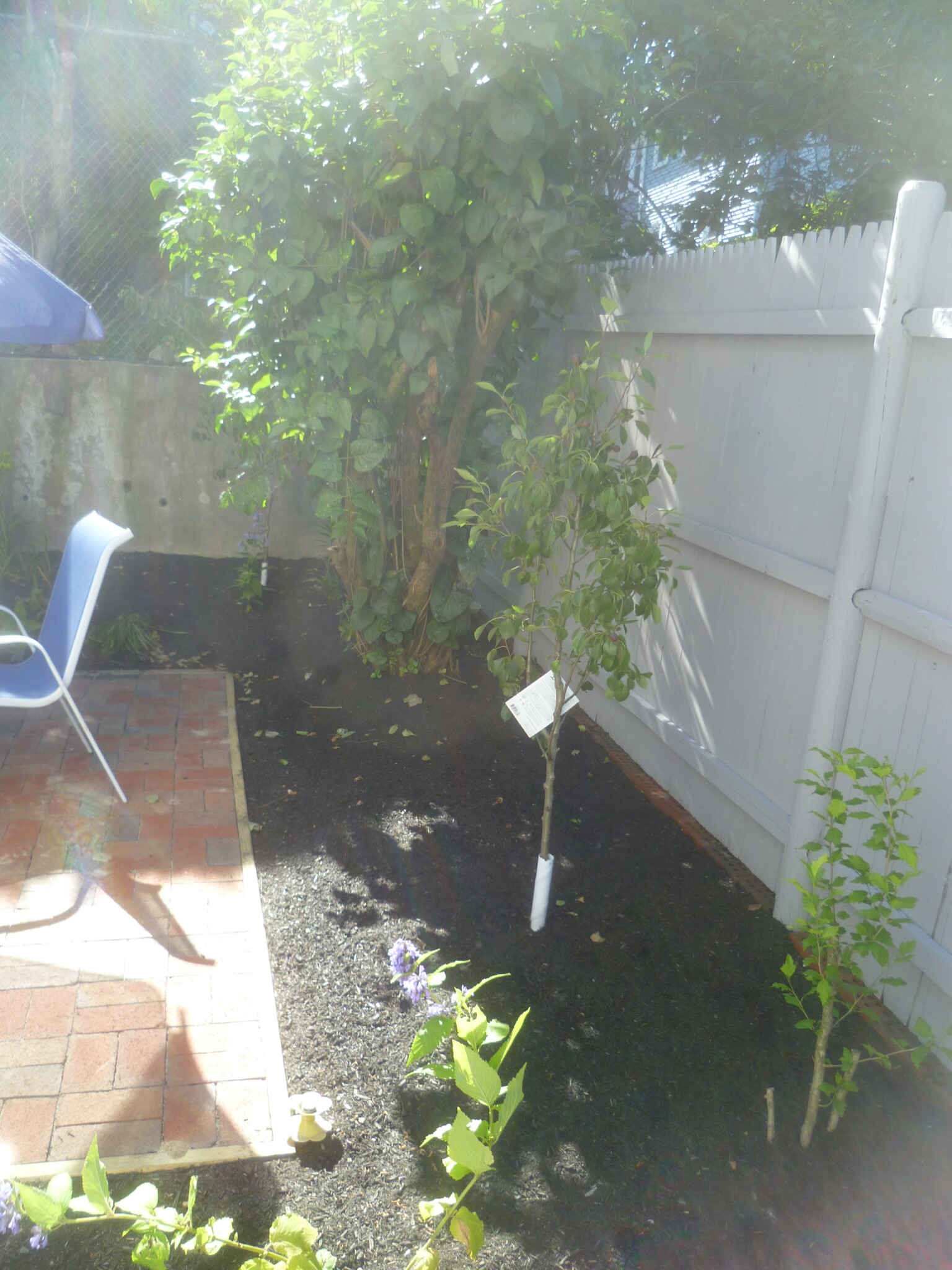 56 Hobson St, Brighton