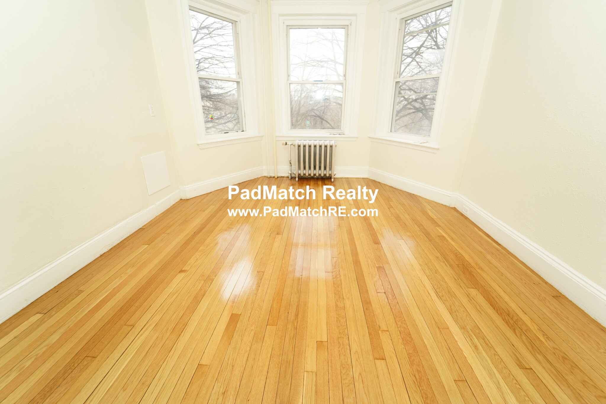 1163 Boylston St, Fenway