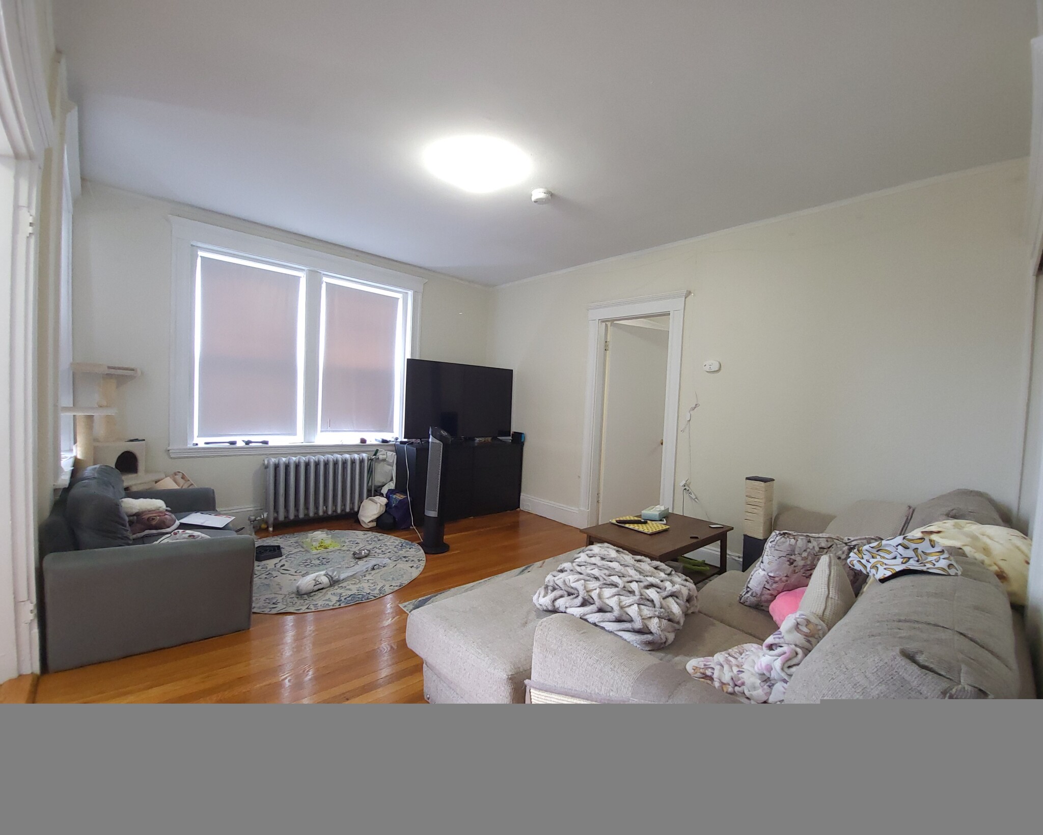 1163 Boylston St, Fenway