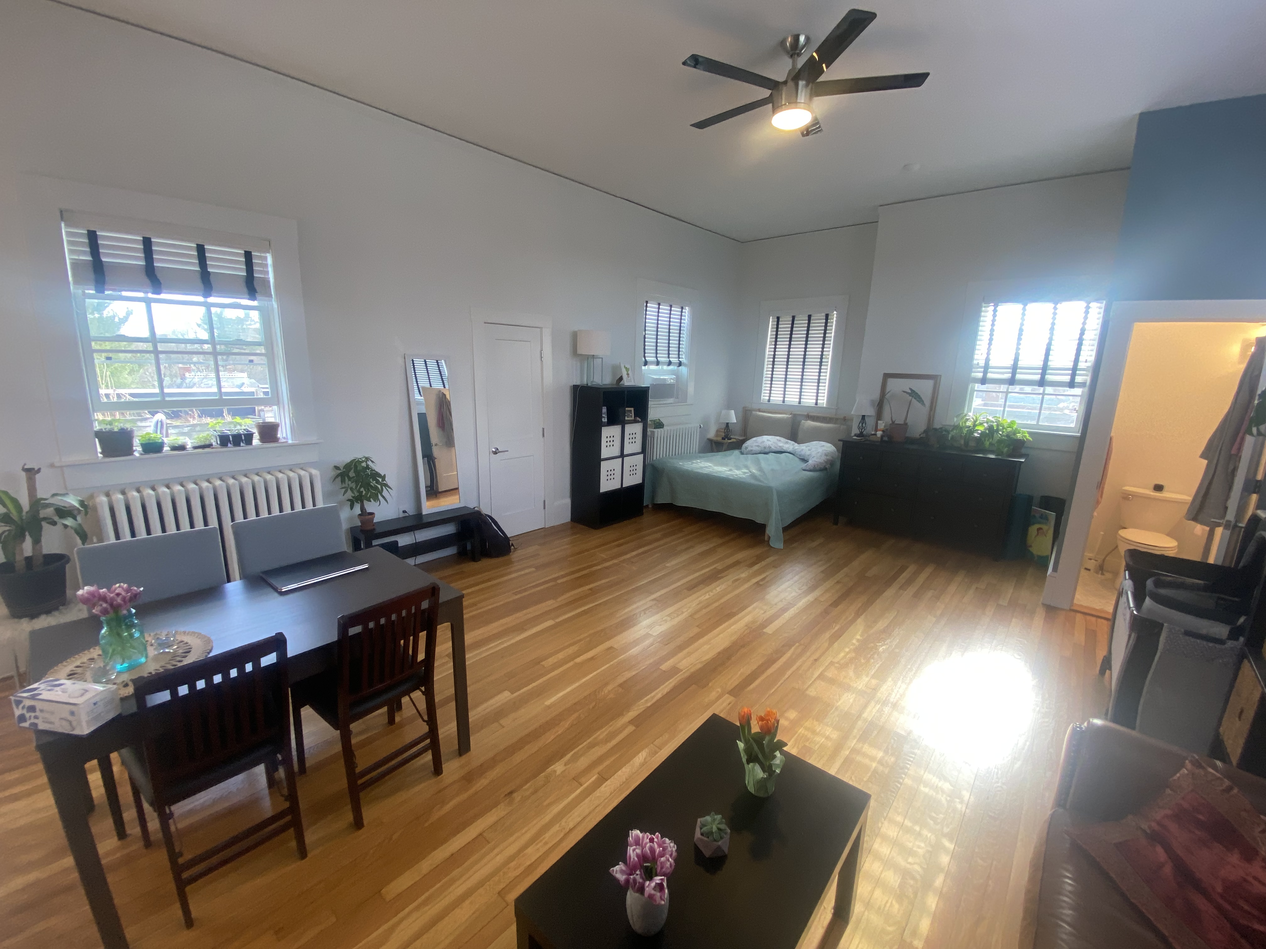 16 Chauncy St, Harvard Square