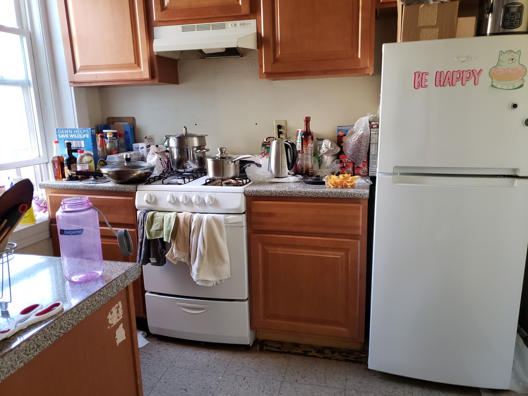 71 Chester St, Allston