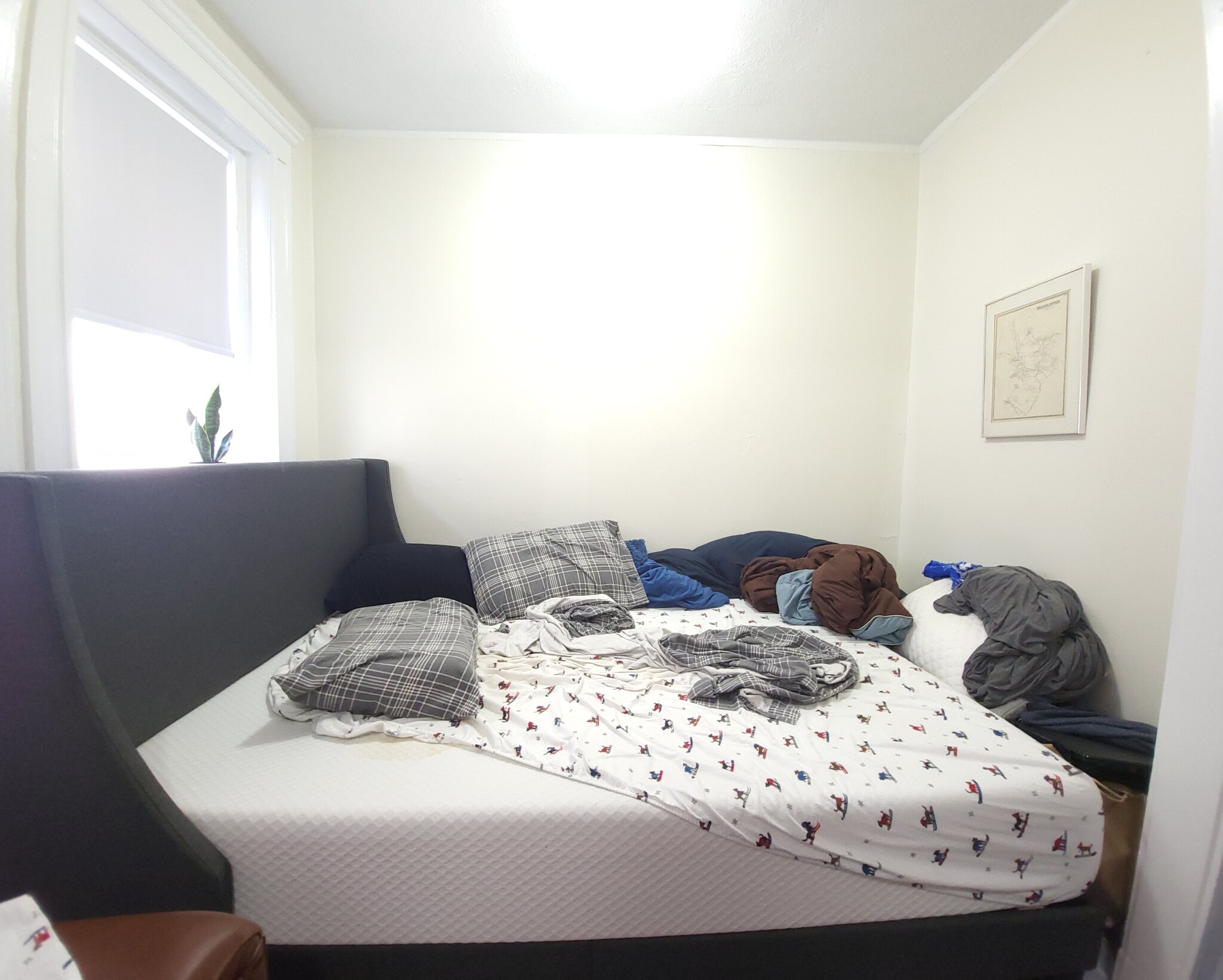 1179 Boylston St, Fenway