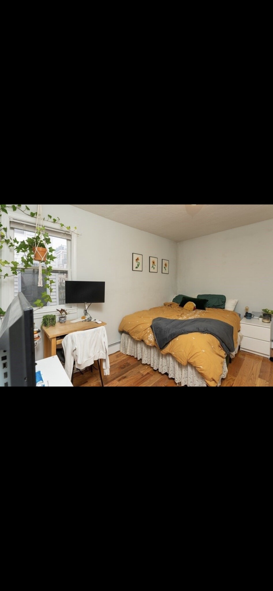 442 West 4th, South Boston