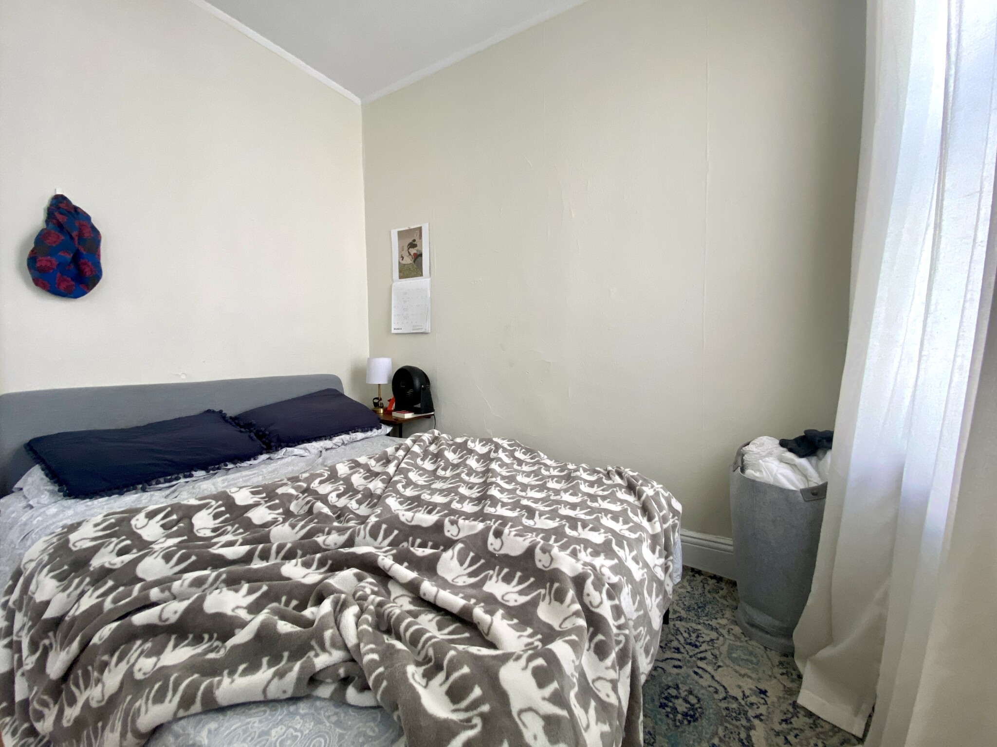 1191 Boylston St, Fenway