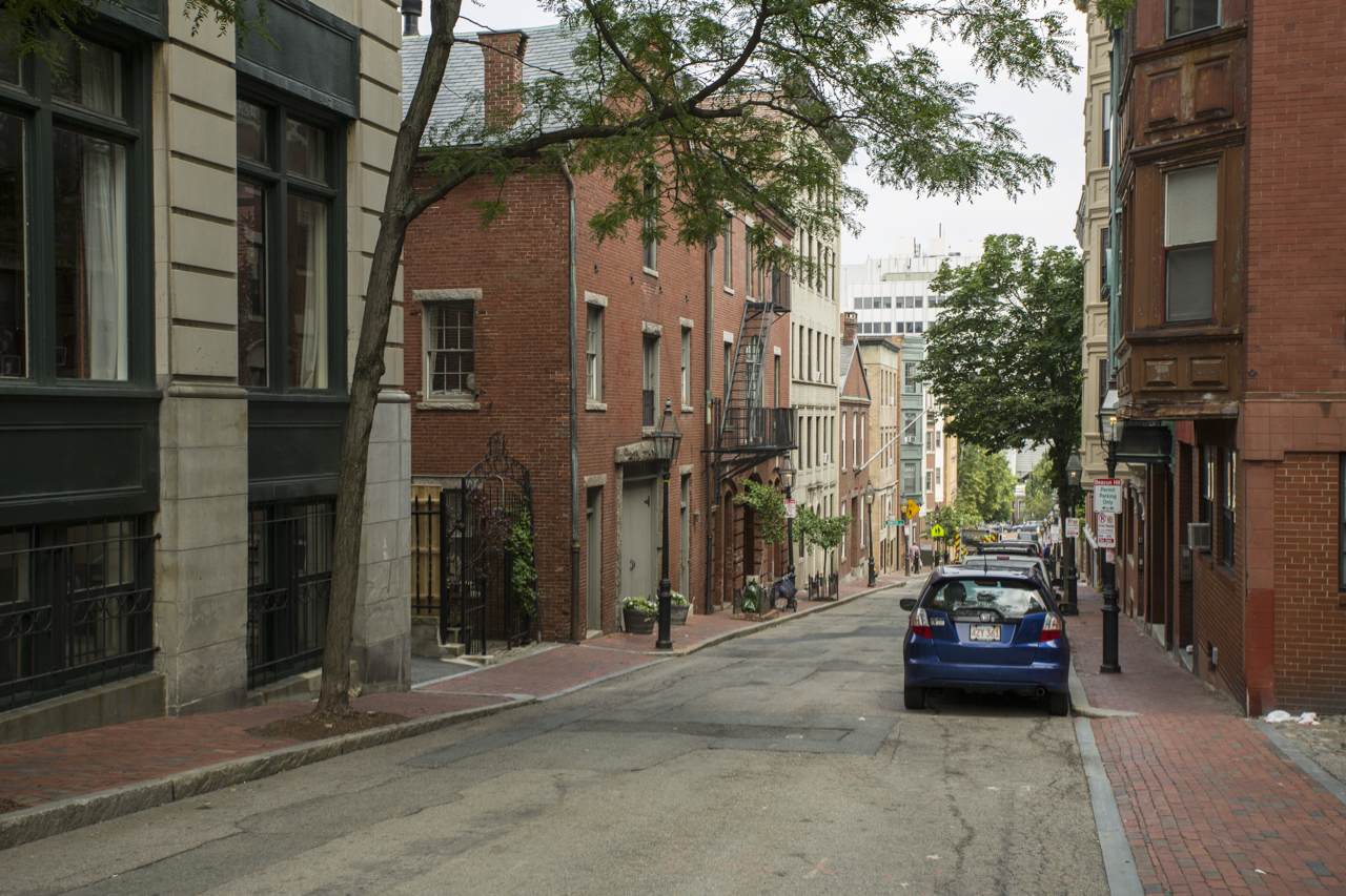 11 Myrtle St, Beacon Hill