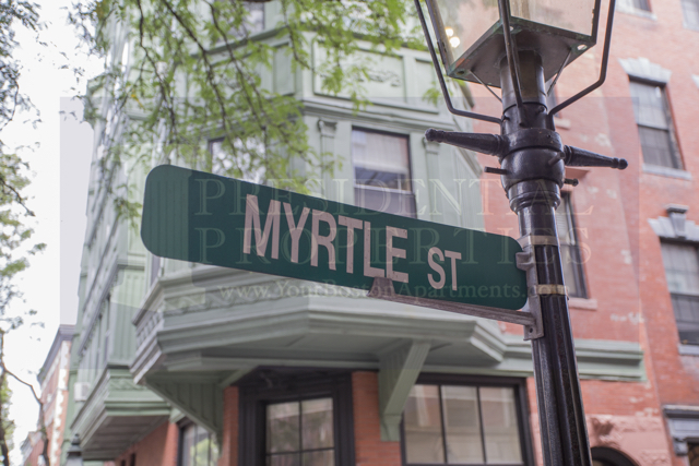 11 Myrtle St, Beacon Hill