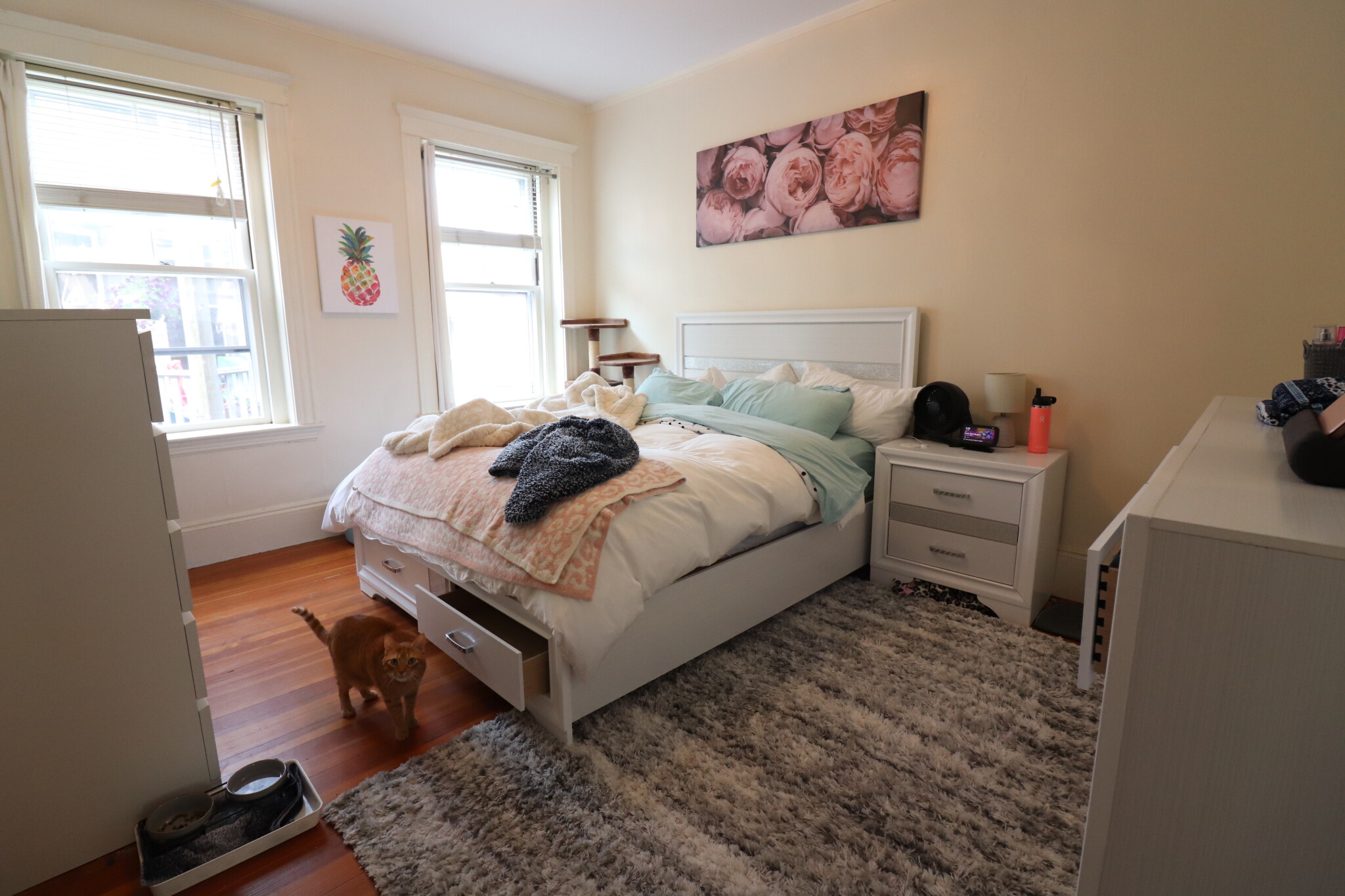 12 Colbourne Cres, Washington Square