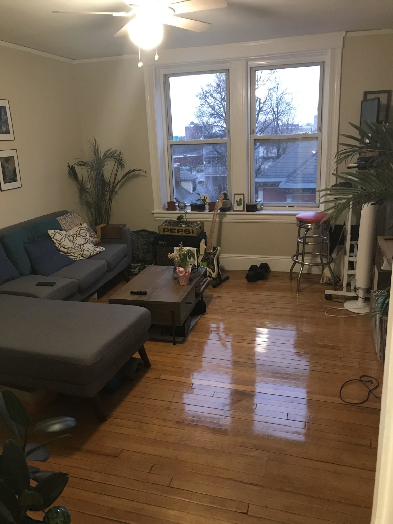 12 Farrington, Allston